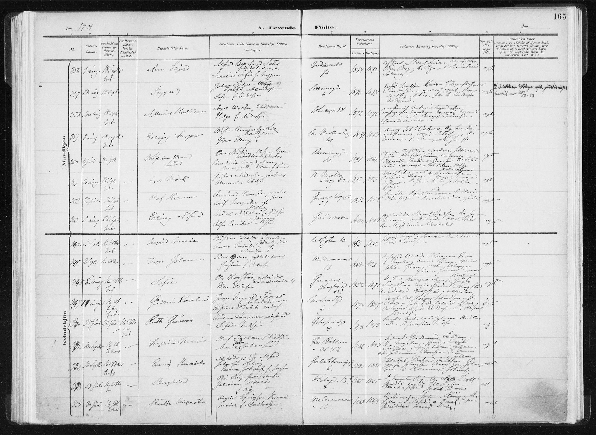 Ministerialprotokoller, klokkerbøker og fødselsregistre - Sør-Trøndelag, SAT/A-1456/604/L0199: Parish register (official) no. 604A20I, 1901-1906, p. 165