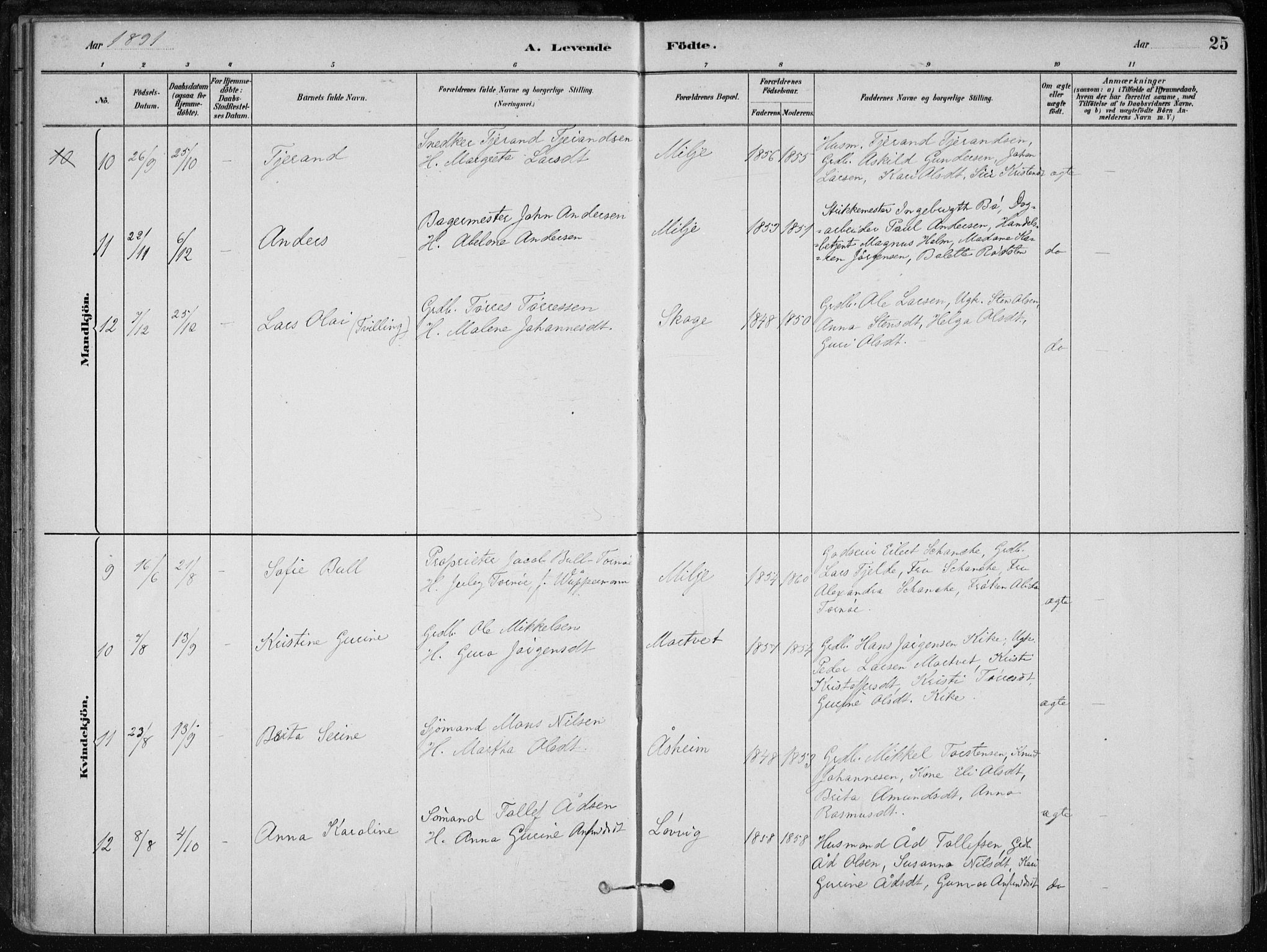 Skånevik sokneprestembete, SAB/A-77801/H/Haa: Parish register (official) no. B 1, 1879-1914, p. 25