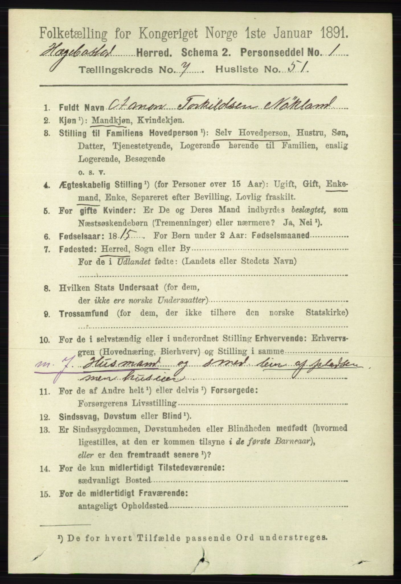 RA, 1891 census for 1034 Hægebostad, 1891, p. 2416