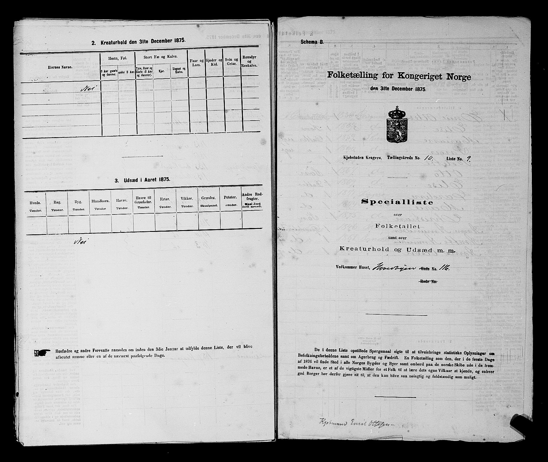 SAKO, 1875 census for 0801P Kragerø, 1875, p. 230