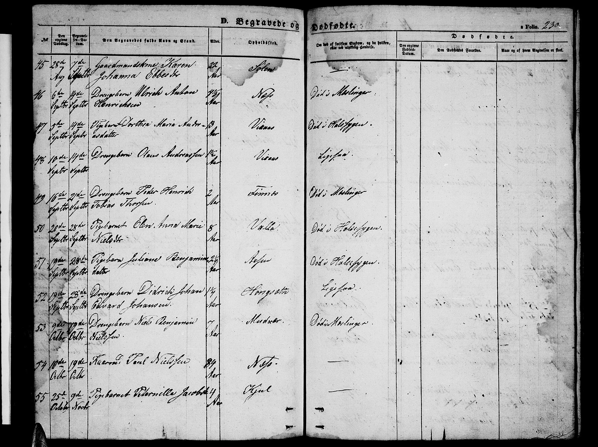 Ministerialprotokoller, klokkerbøker og fødselsregistre - Nordland, AV/SAT-A-1459/816/L0251: Parish register (copy) no. 816C01, 1852-1870, p. 230