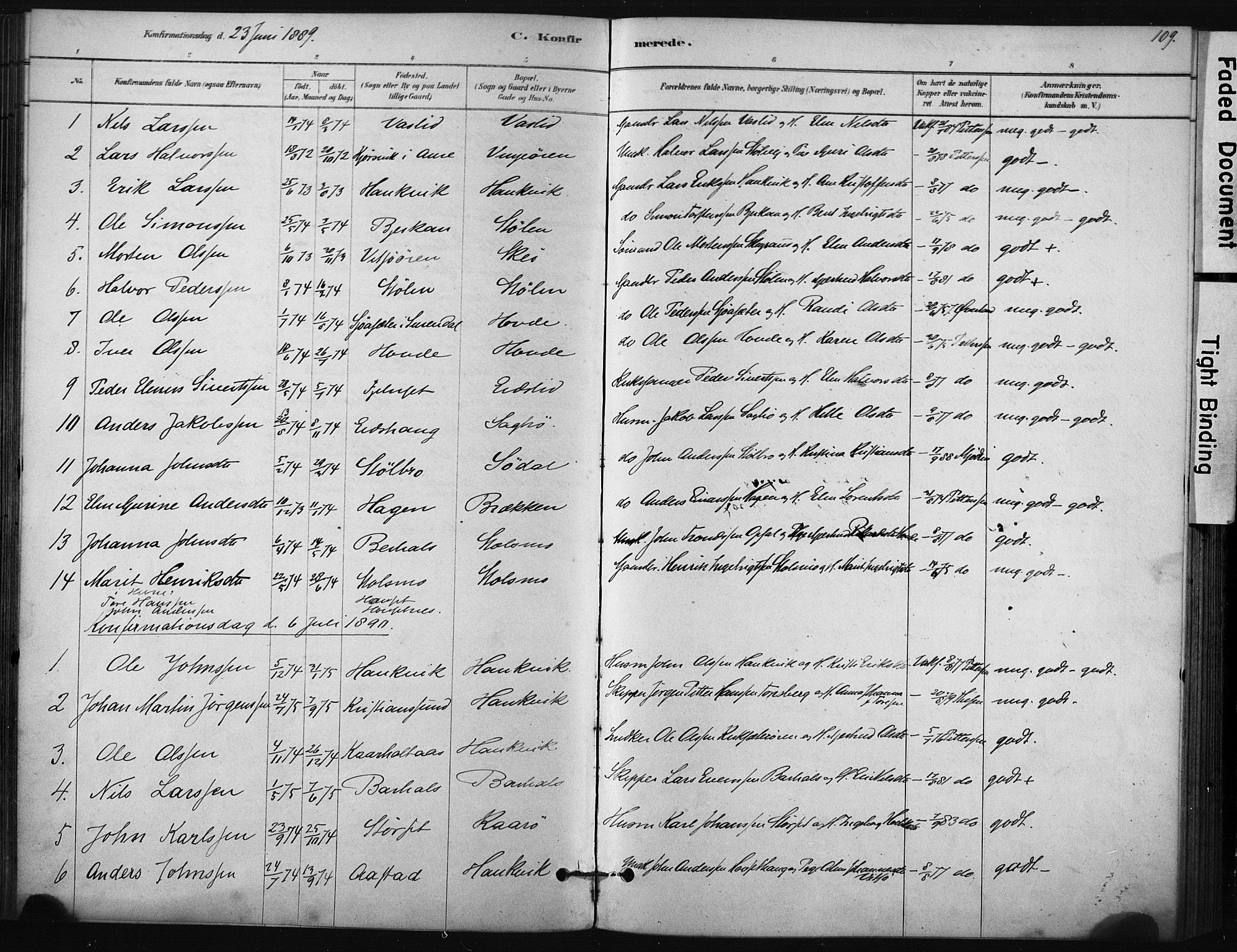 Ministerialprotokoller, klokkerbøker og fødselsregistre - Sør-Trøndelag, AV/SAT-A-1456/631/L0512: Parish register (official) no. 631A01, 1879-1912, p. 109