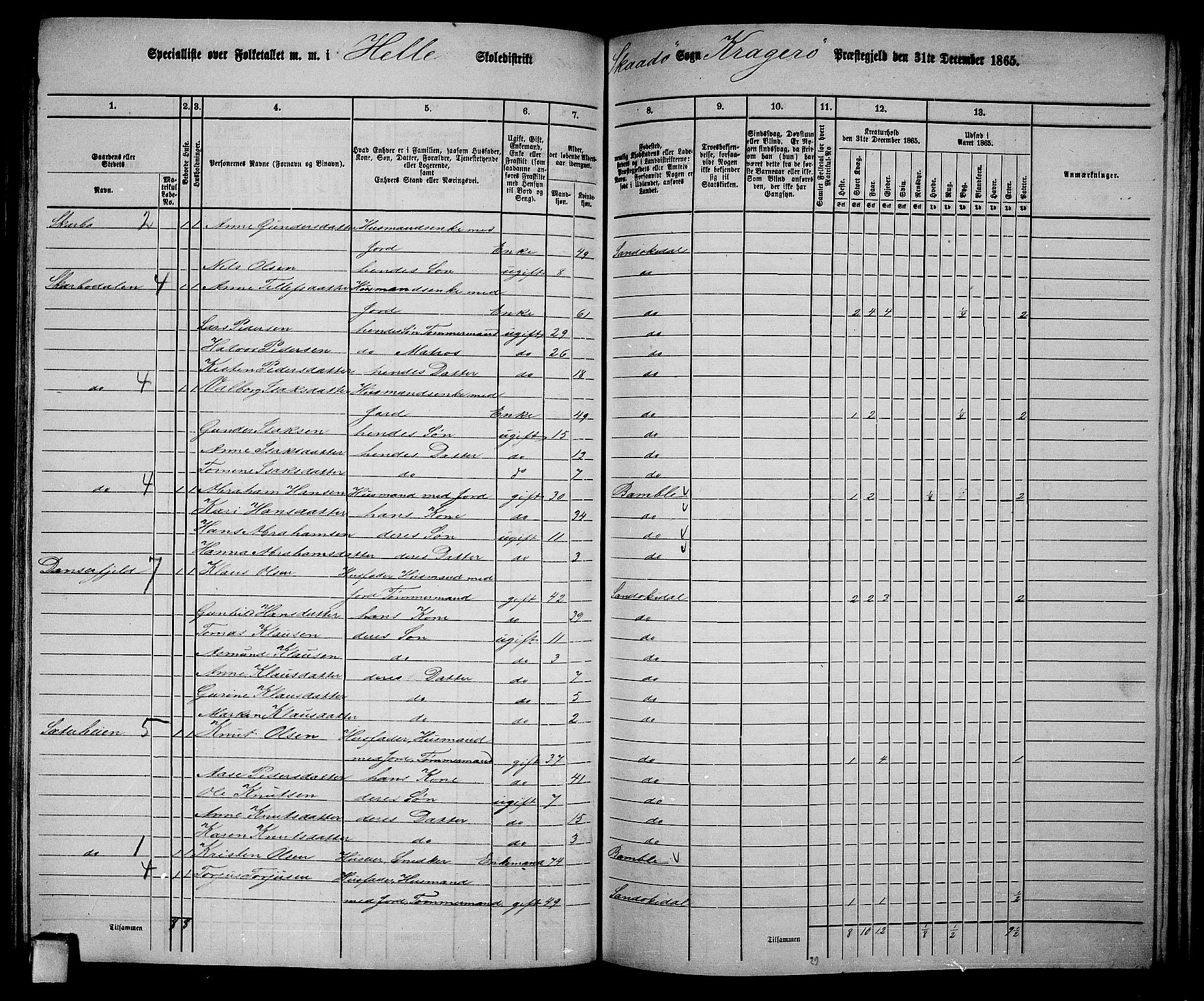 RA, 1865 census for Kragerø/Sannidal og Skåtøy, 1865, p. 152