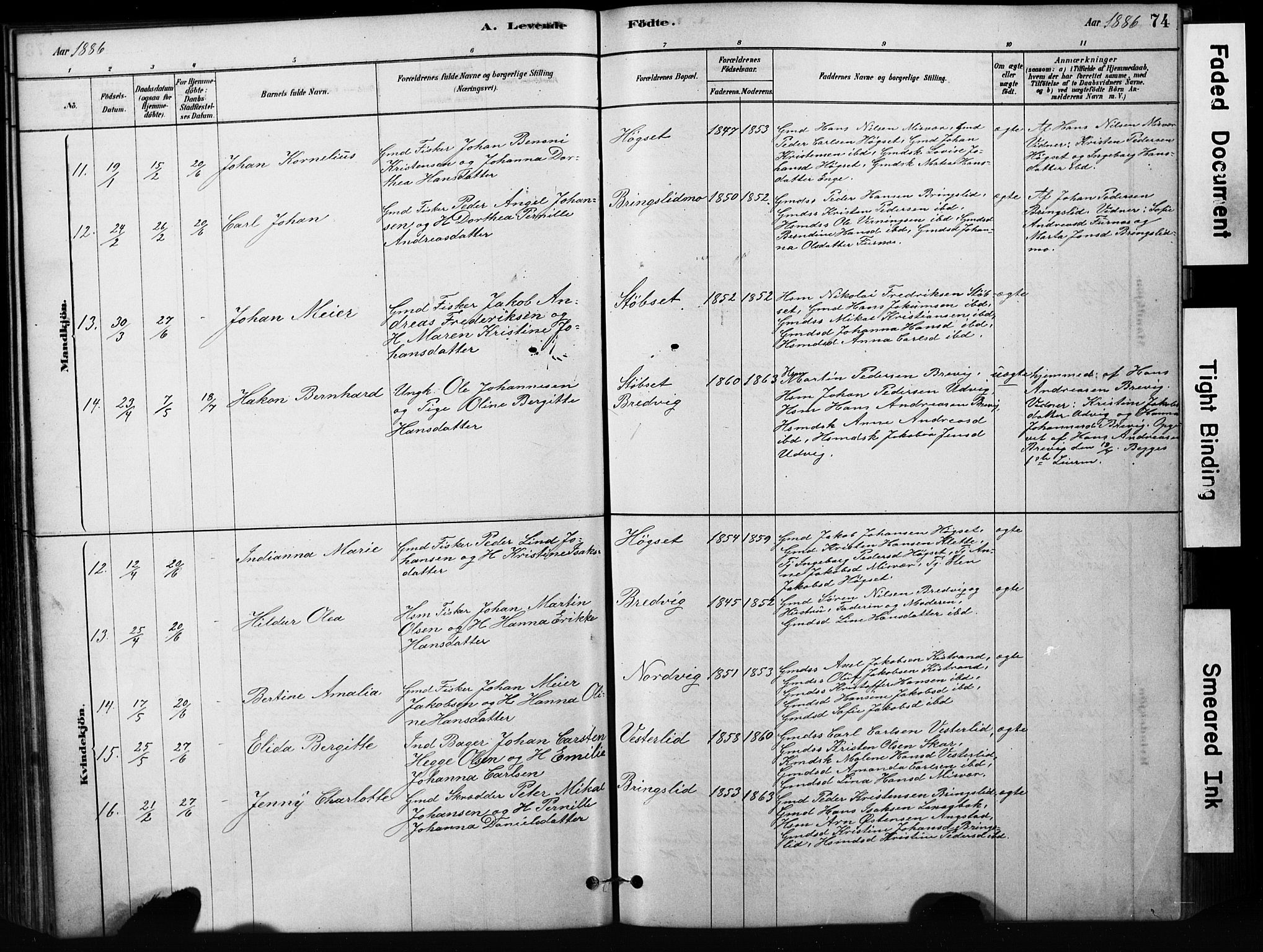 Ministerialprotokoller, klokkerbøker og fødselsregistre - Nordland, SAT/A-1459/852/L0754: Parish register (copy) no. 852C05, 1878-1894, p. 74