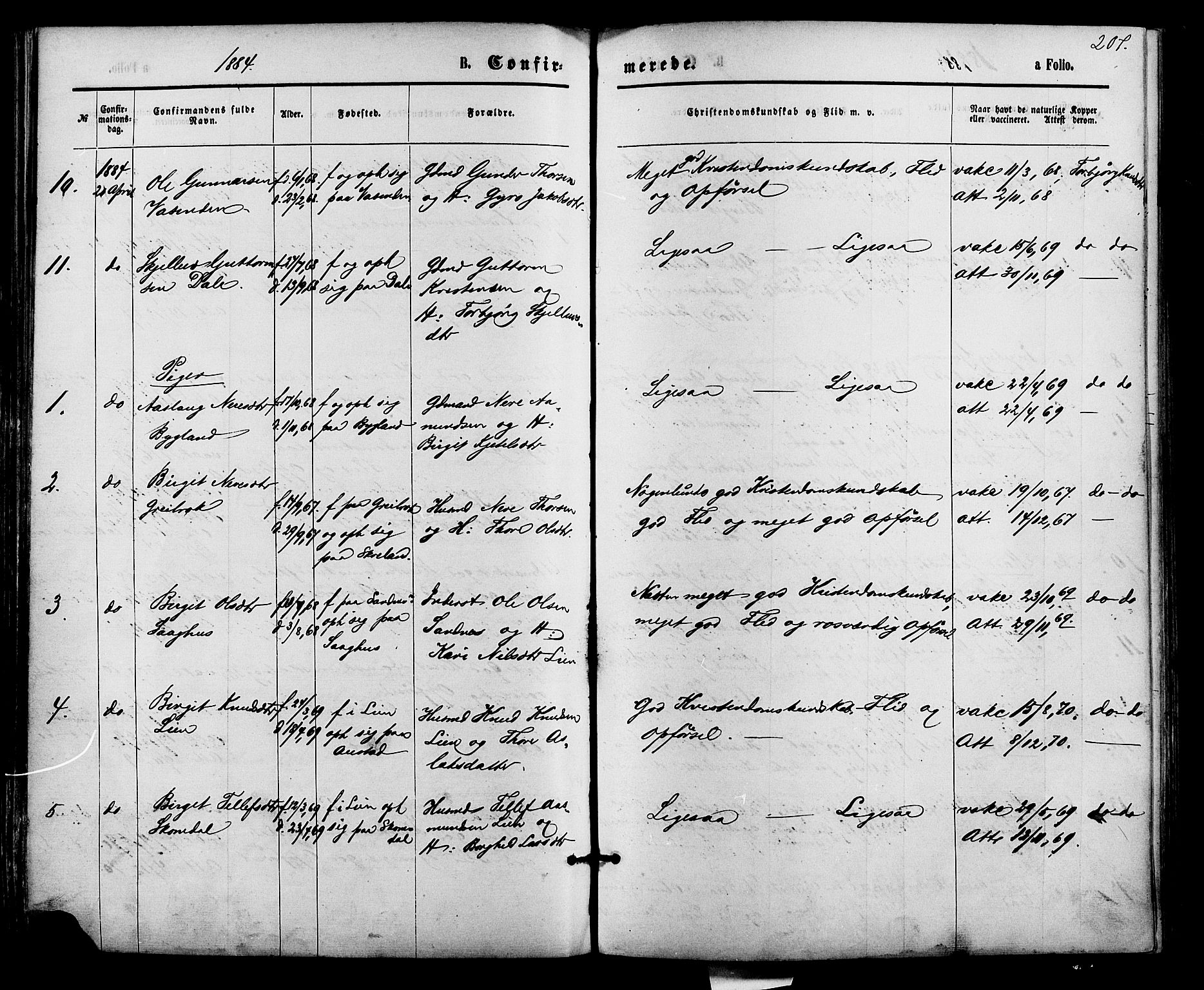 Bygland sokneprestkontor, AV/SAK-1111-0006/F/Fa/Fab/L0006: Parish register (official) no. A 6, 1873-1884, p. 207