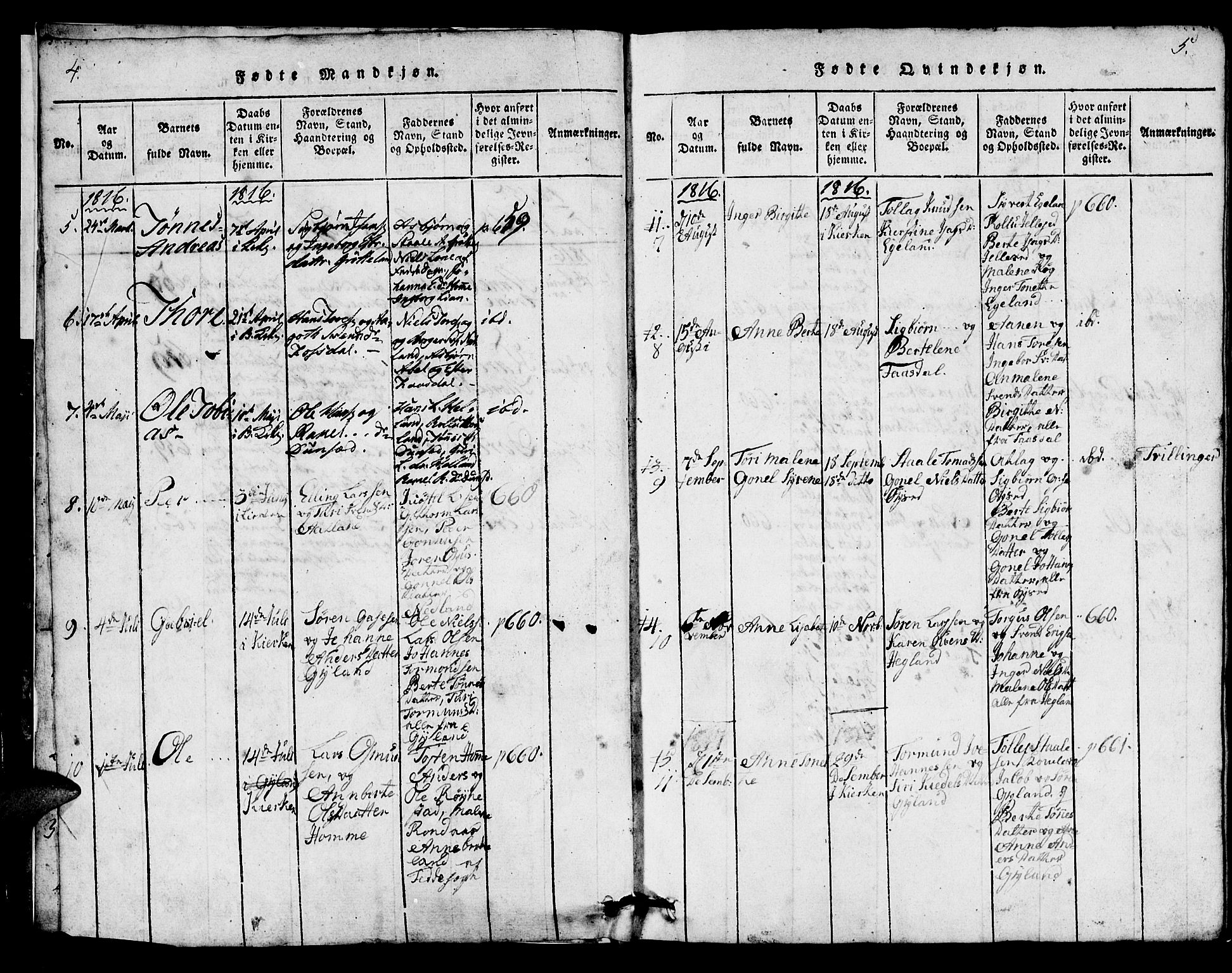 Bakke sokneprestkontor, AV/SAK-1111-0002/F/Fb/Fbb/L0001: Parish register (copy) no. B 1, 1815-1835, p. 4-5