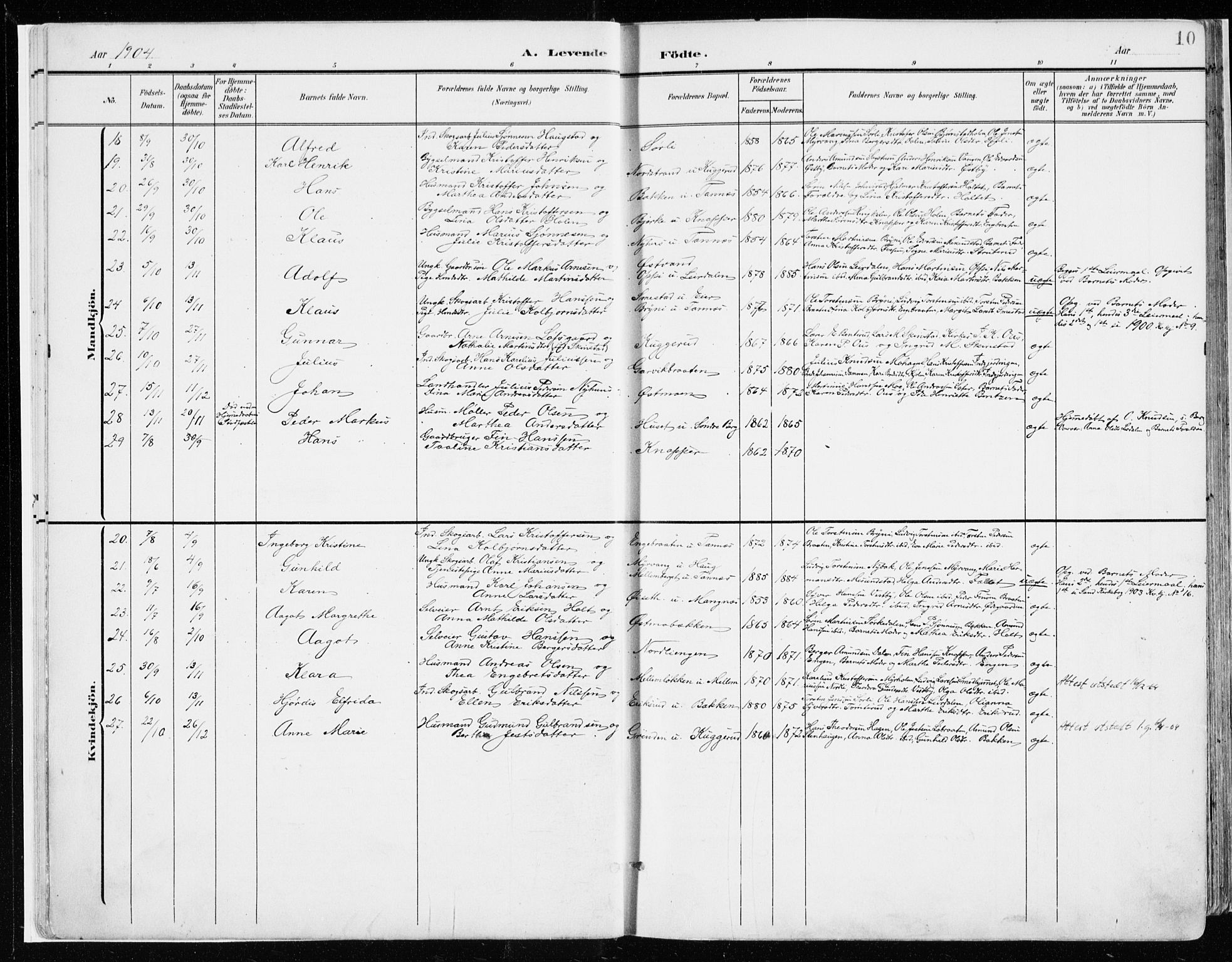 Nord-Odal prestekontor, AV/SAH-PREST-032/H/Ha/Haa/L0009: Parish register (official) no. 9, 1902-1926, p. 10