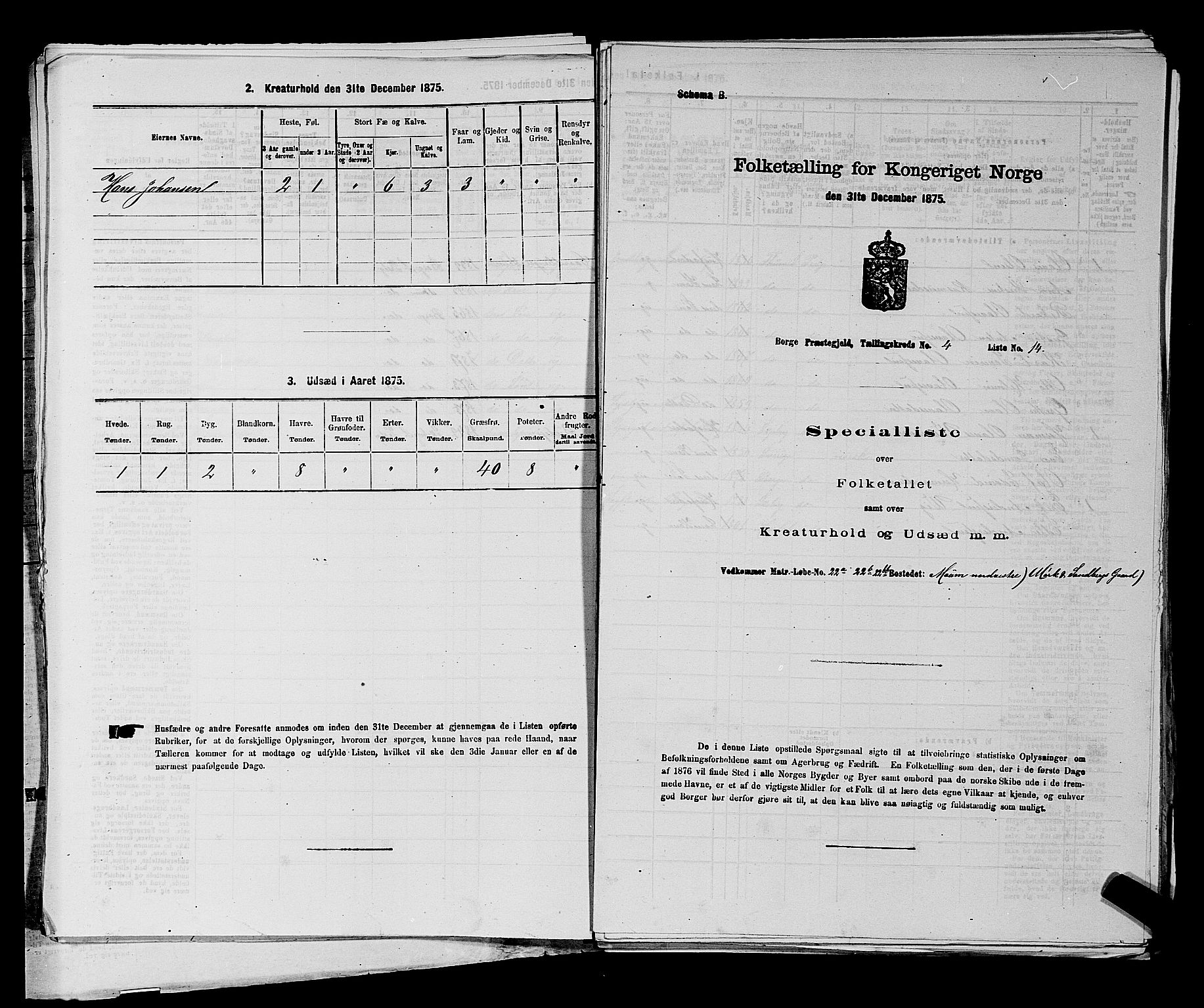 RA, 1875 census for 0113P Borge, 1875, p. 546