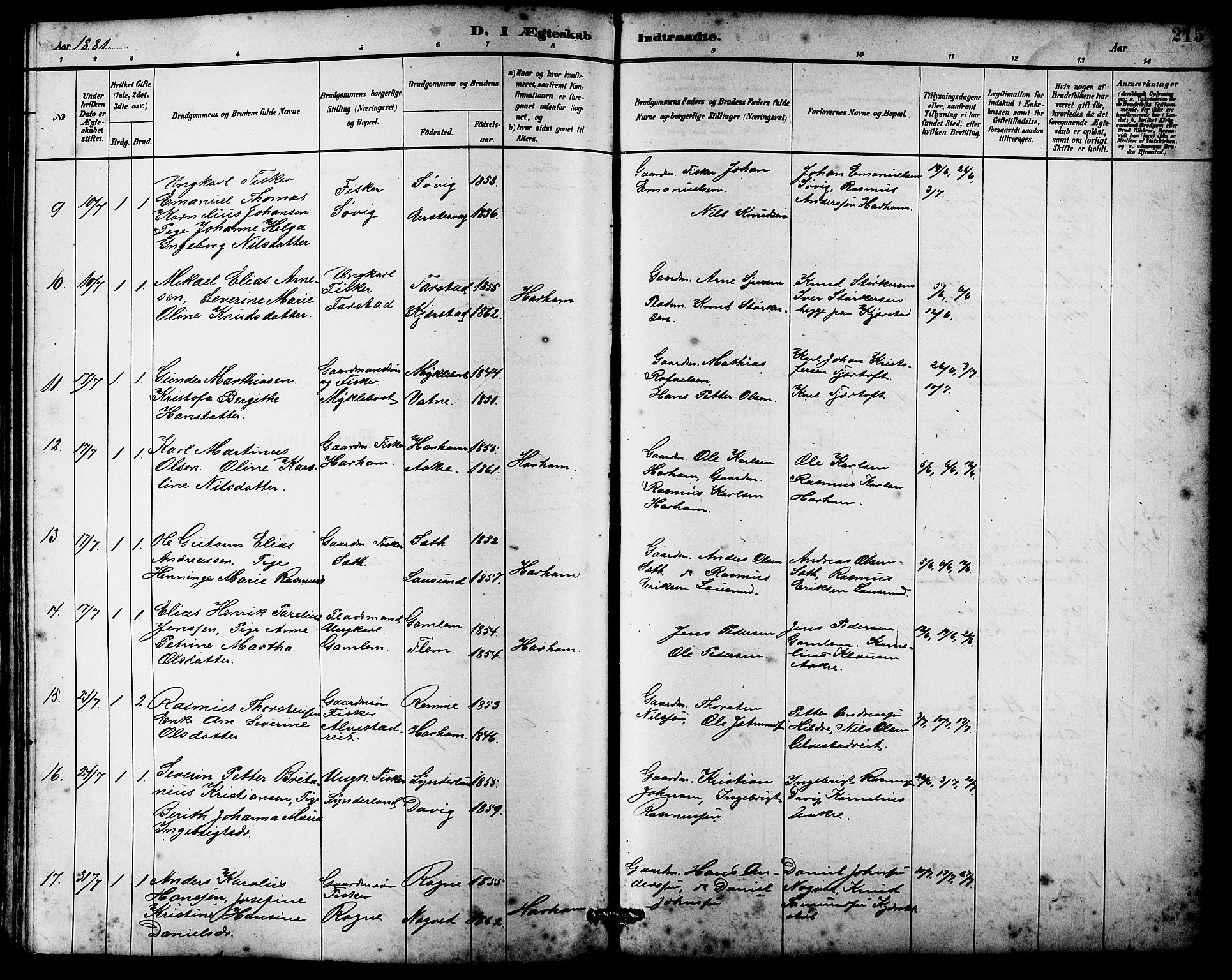 Ministerialprotokoller, klokkerbøker og fødselsregistre - Møre og Romsdal, AV/SAT-A-1454/536/L0510: Parish register (copy) no. 536C05, 1881-1898, p. 215