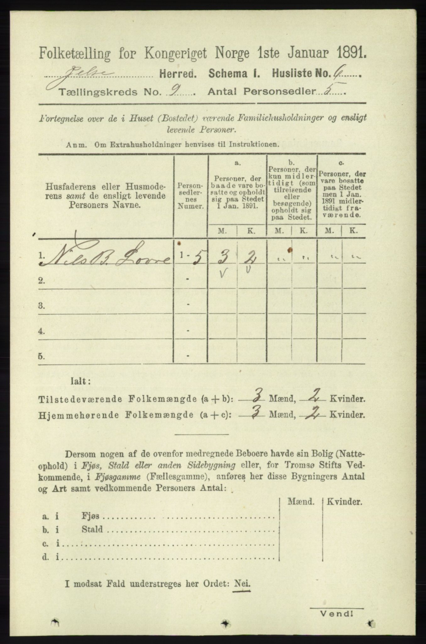 RA, 1891 census for 1138 Jelsa, 1891, p. 2008