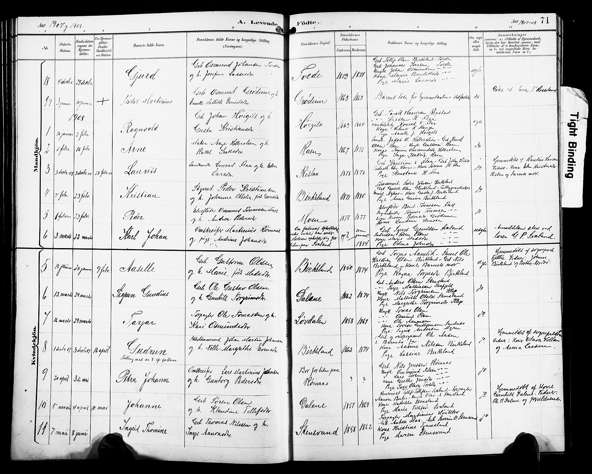 Birkenes sokneprestkontor, AV/SAK-1111-0004/F/Fb/L0004: Parish register (copy) no. B 4, 1893-1930, p. 71