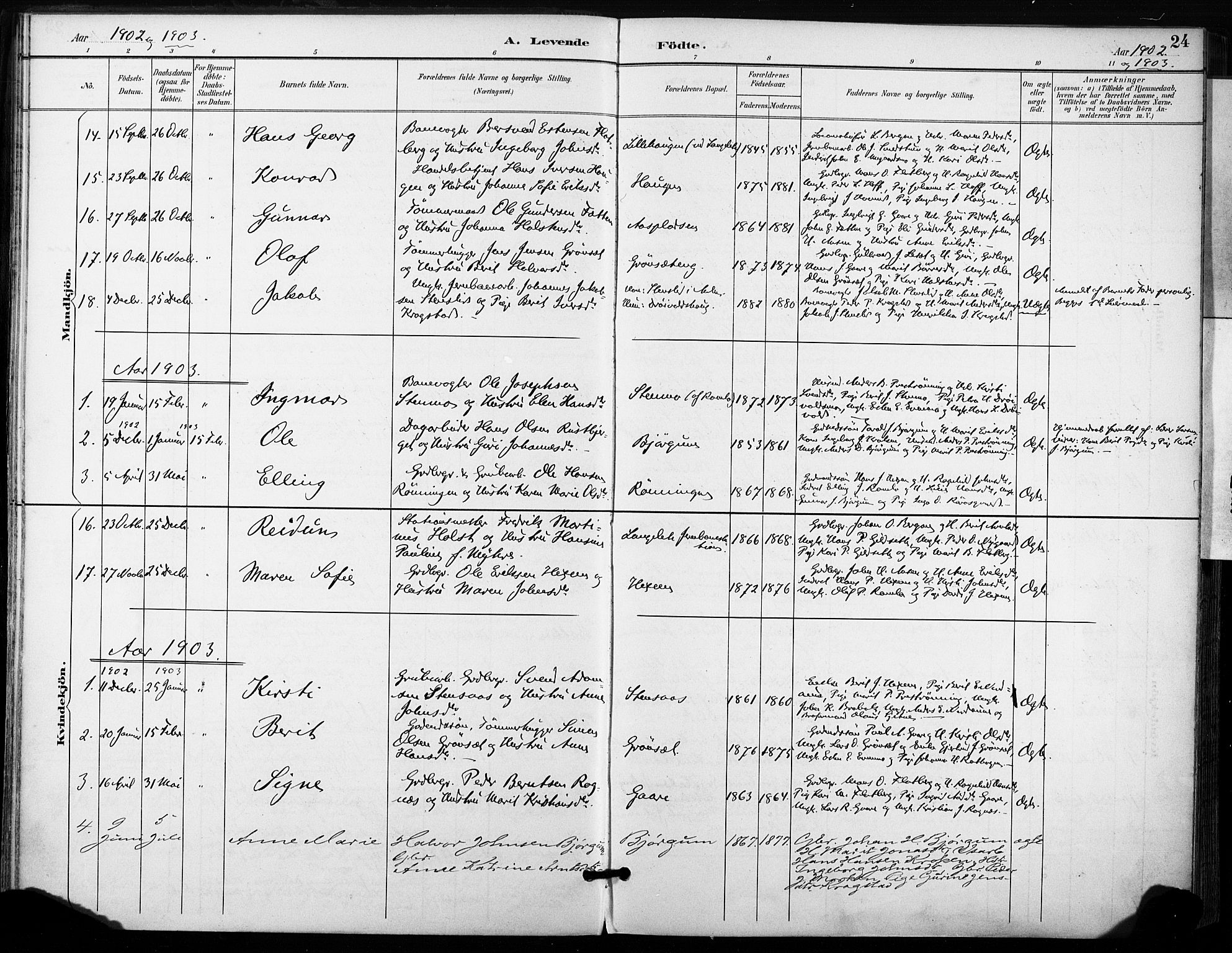 Ministerialprotokoller, klokkerbøker og fødselsregistre - Sør-Trøndelag, SAT/A-1456/685/L0973: Parish register (official) no. 685A10, 1891-1907, p. 24