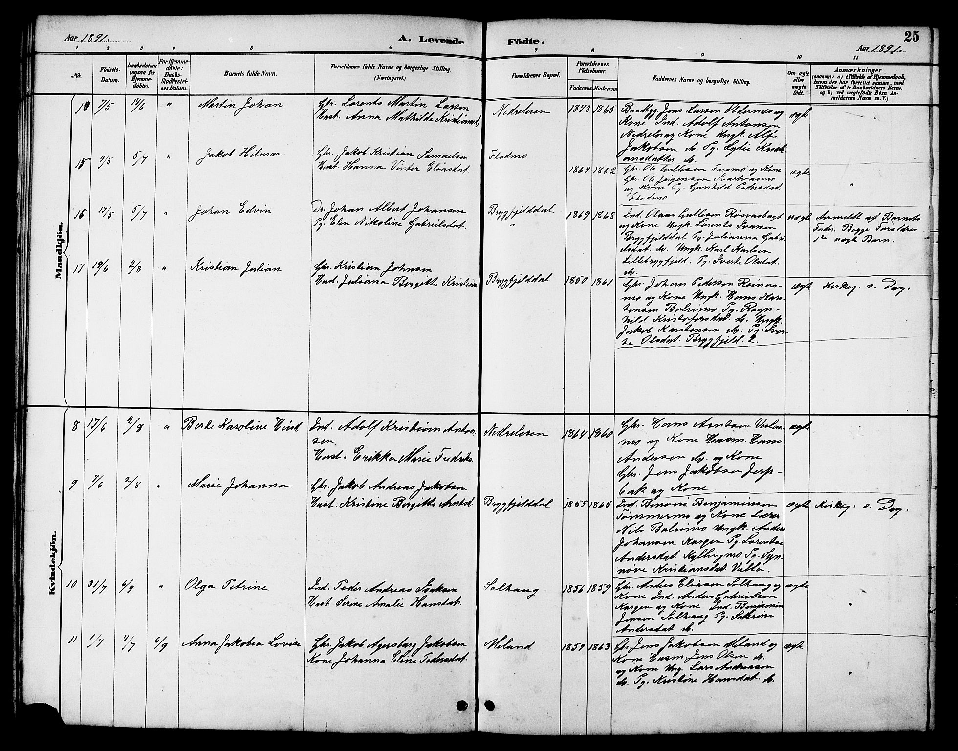 Ministerialprotokoller, klokkerbøker og fødselsregistre - Nordland, AV/SAT-A-1459/826/L0383: Parish register (copy) no. 826C03, 1887-1896, p. 25