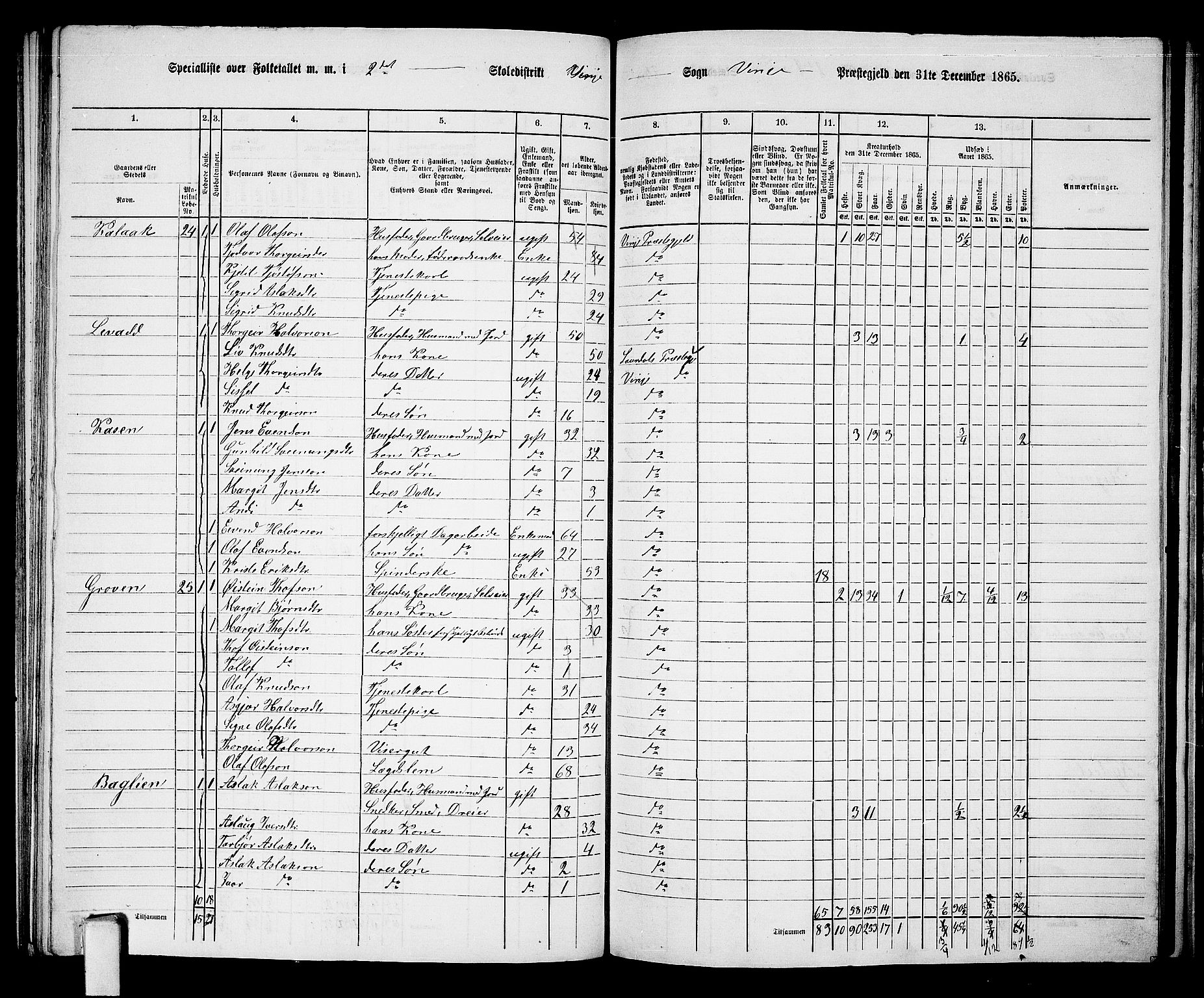 RA, 1865 census for Vinje, 1865, p. 19