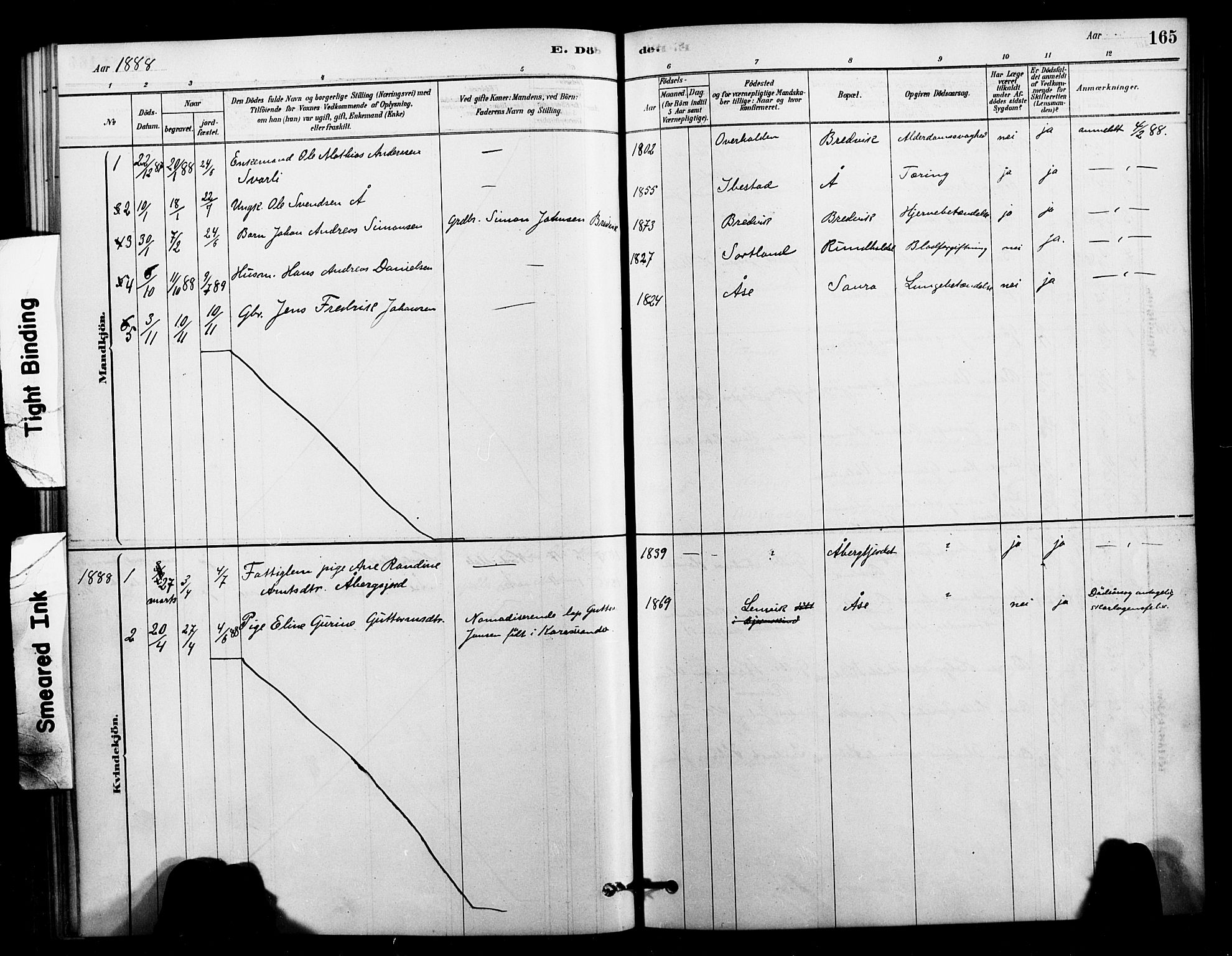 Ministerialprotokoller, klokkerbøker og fødselsregistre - Nordland, AV/SAT-A-1459/897/L1399: Parish register (official) no. 897C06, 1881-1896, p. 165