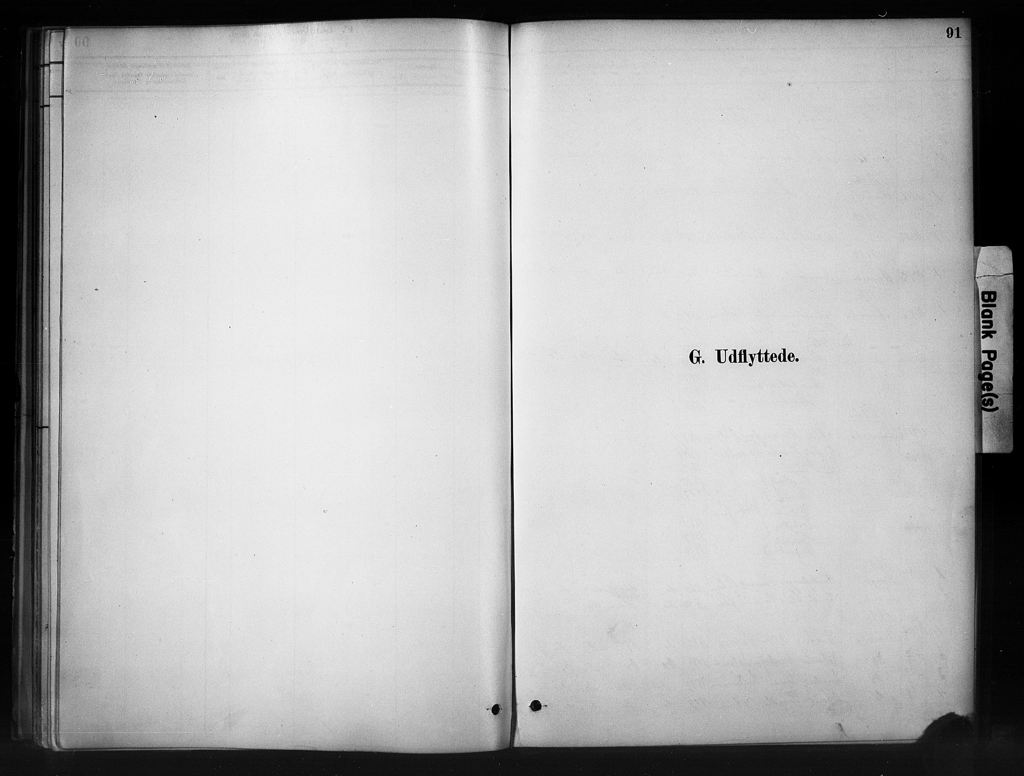 Nord-Aurdal prestekontor, AV/SAH-PREST-132/H/Ha/Haa/L0011: Parish register (official) no. 11, 1883-1896, p. 91