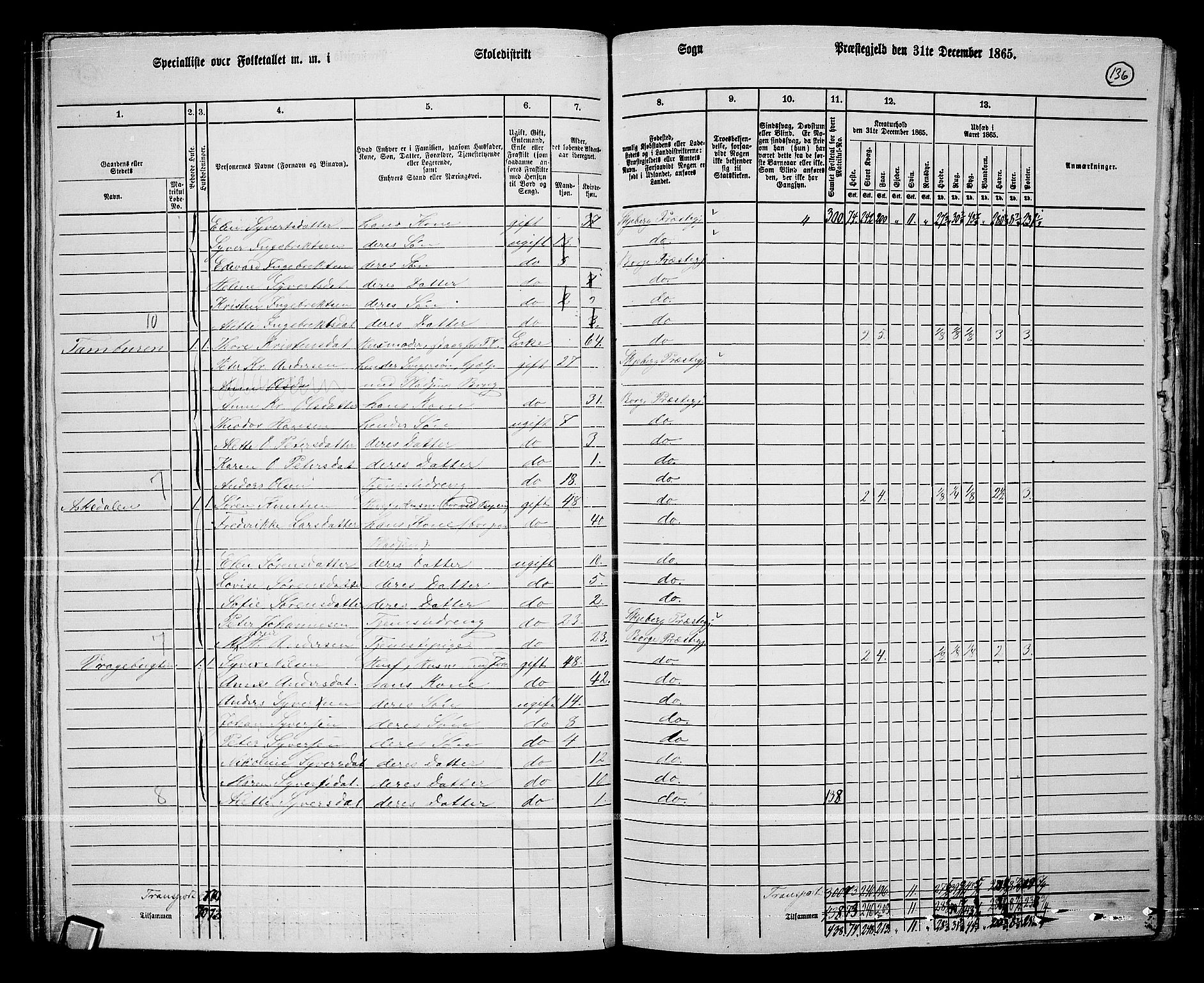 RA, 1865 census for Borge, 1865, p. 125