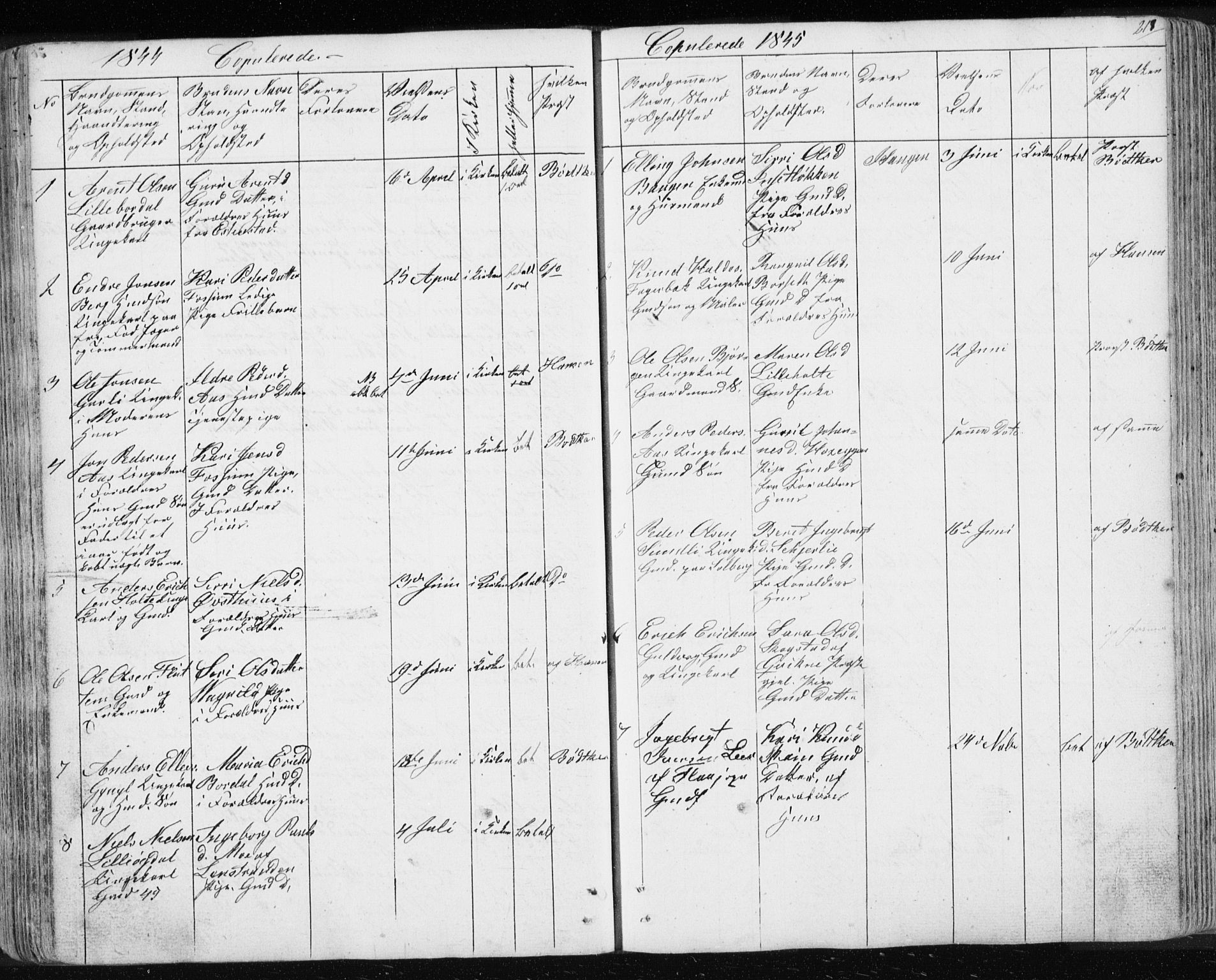 Ministerialprotokoller, klokkerbøker og fødselsregistre - Sør-Trøndelag, SAT/A-1456/689/L1043: Parish register (copy) no. 689C02, 1816-1892, p. 217