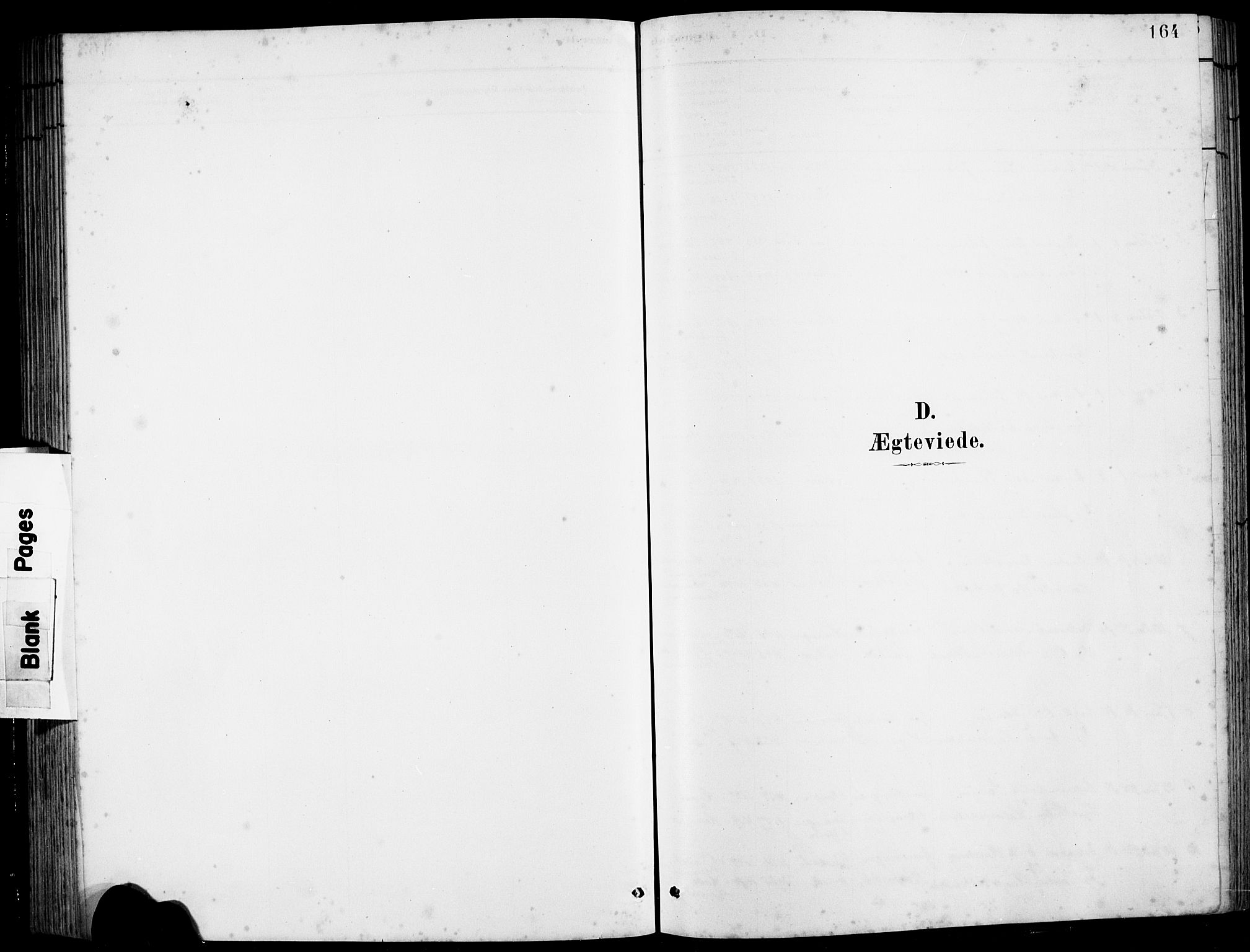 Hamre sokneprestembete, SAB/A-75501/H/Ha/Hab: Parish register (copy) no. B 3, 1881-1898, p. 164