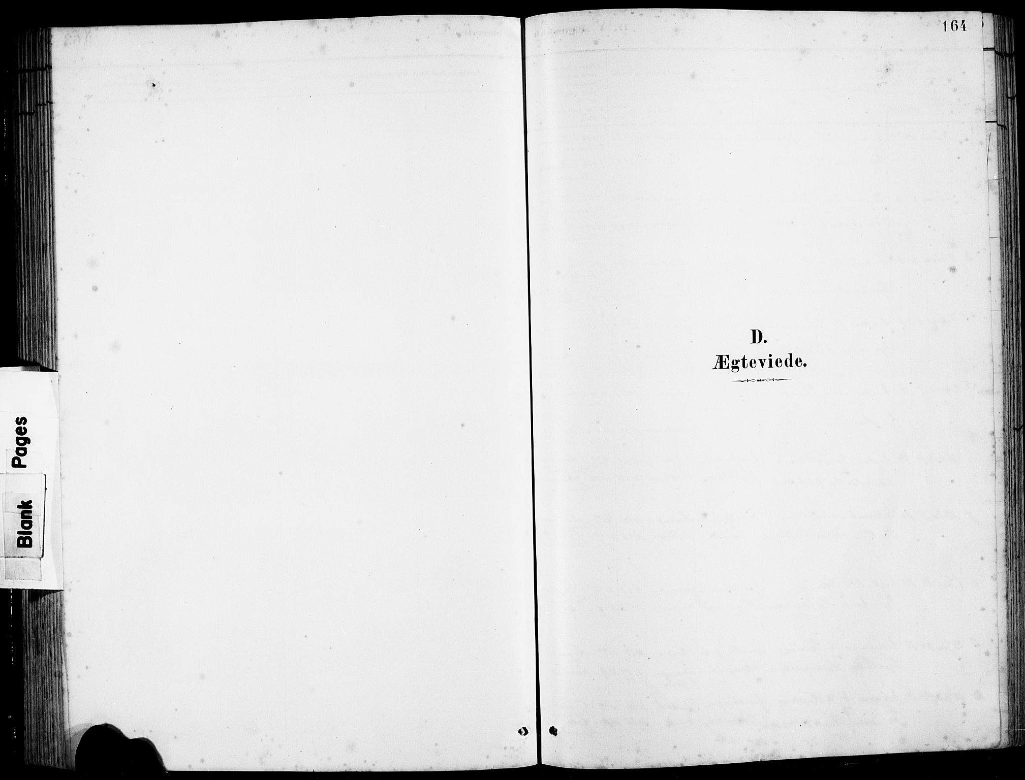 Hamre sokneprestembete, AV/SAB-A-75501/H/Ha/Hab: Parish register (copy) no. B 3, 1881-1898, p. 164