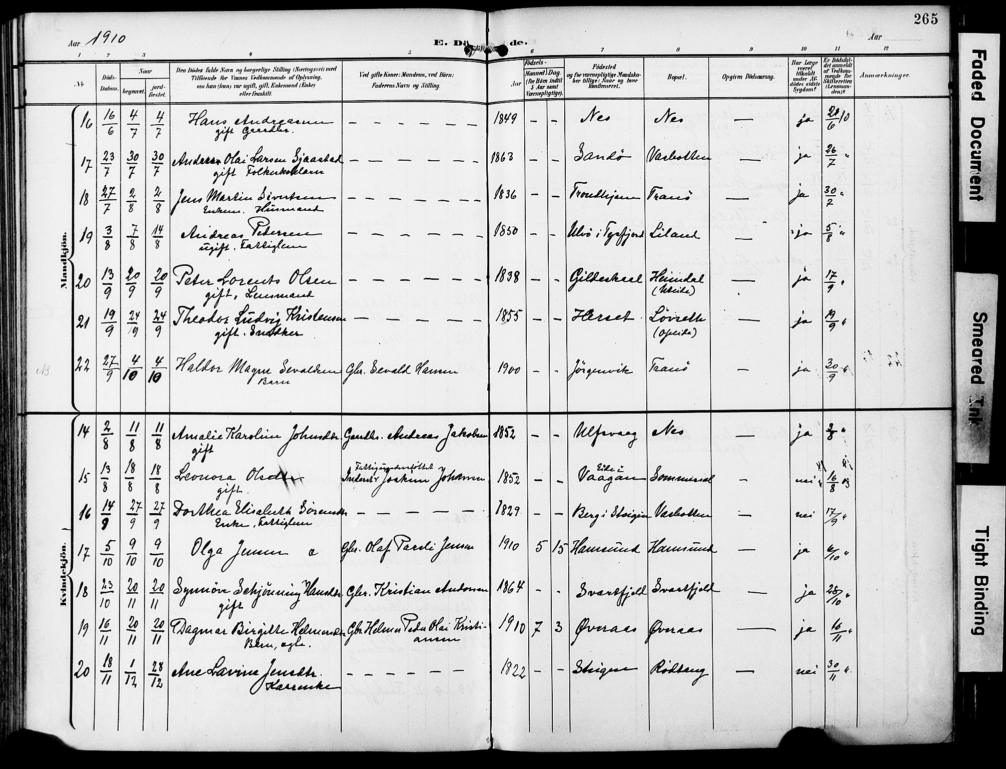 Ministerialprotokoller, klokkerbøker og fødselsregistre - Nordland, AV/SAT-A-1459/859/L0848: Parish register (official) no. 859A08, 1900-1912, p. 265