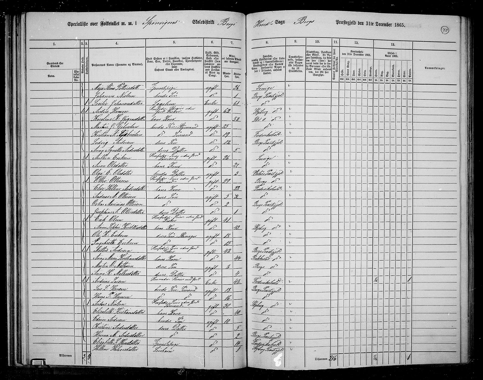 RA, 1865 census for Berg, 1865, p. 63