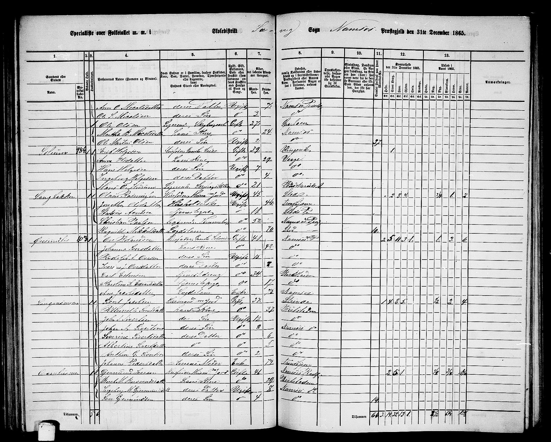 RA, 1865 census for Namsos/Vemundvik og Sævik, 1865, p. 67