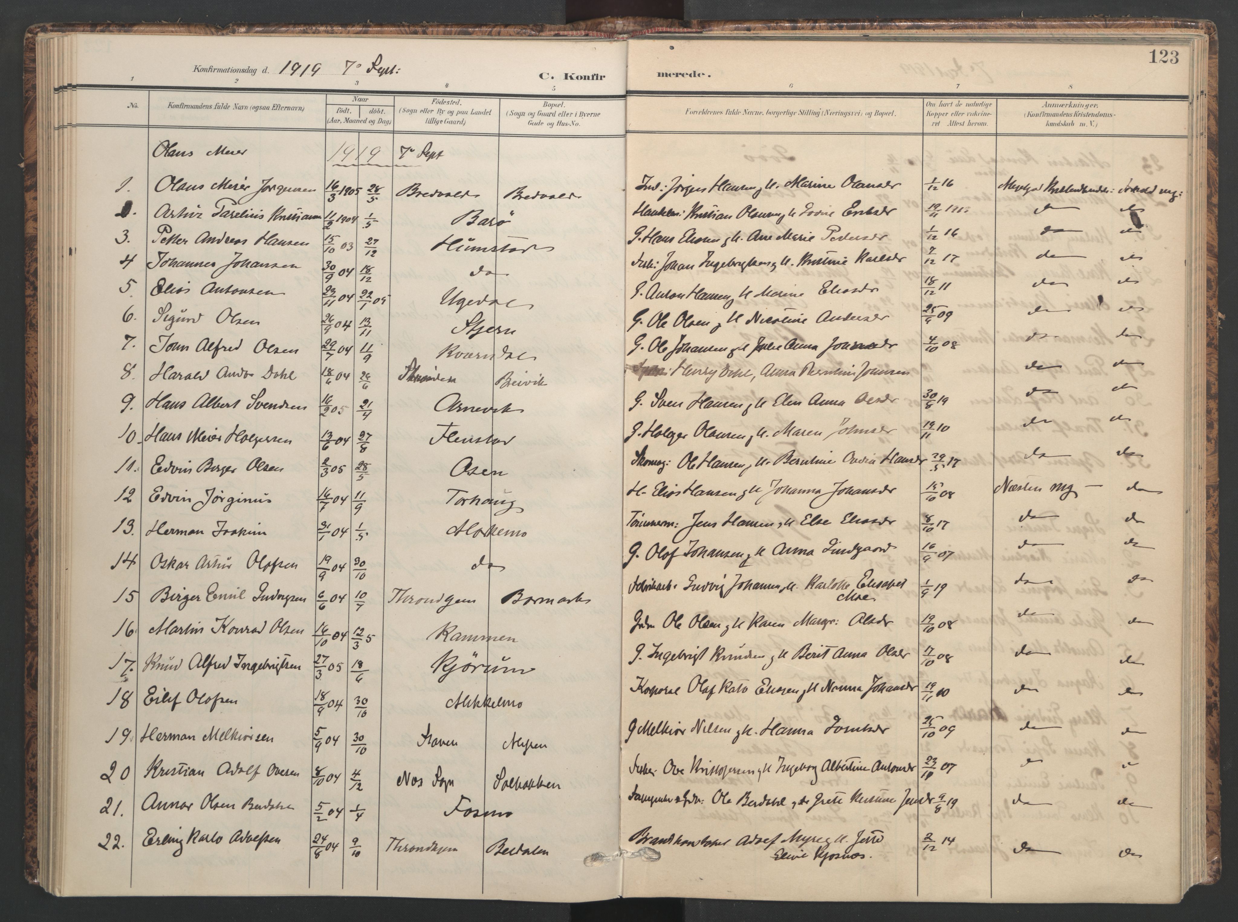Ministerialprotokoller, klokkerbøker og fødselsregistre - Sør-Trøndelag, AV/SAT-A-1456/655/L0682: Parish register (official) no. 655A11, 1908-1922, p. 123