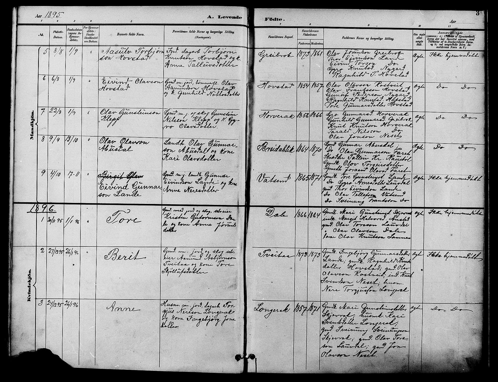 Bygland sokneprestkontor, AV/SAK-1111-0006/F/Fb/Fbd/L0002: Parish register (copy) no. B 2, 1894-1909, p. 3