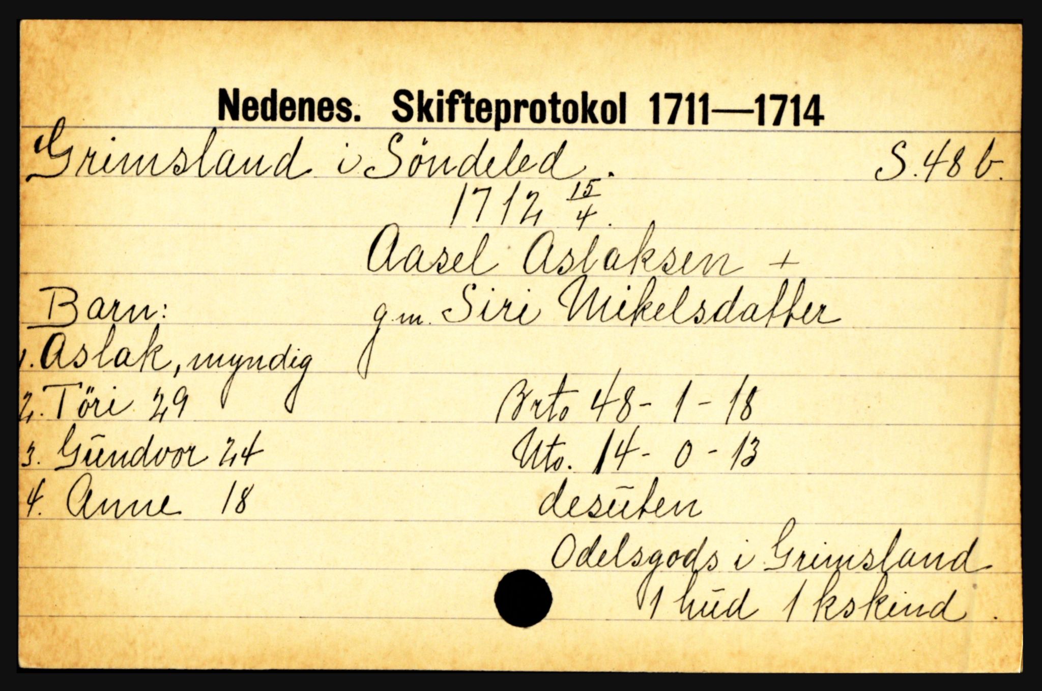 Nedenes sorenskriveri før 1824, AV/SAK-1221-0007/H, p. 9815