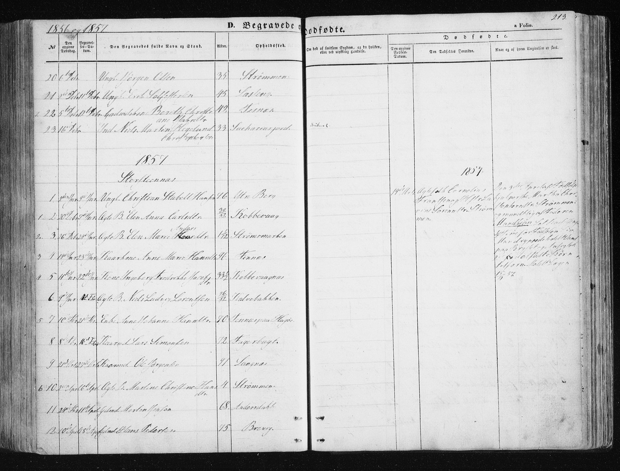 Tromsøysund sokneprestkontor, SATØ/S-1304/G/Ga/L0001kirke: Parish register (official) no. 1, 1856-1867, p. 213