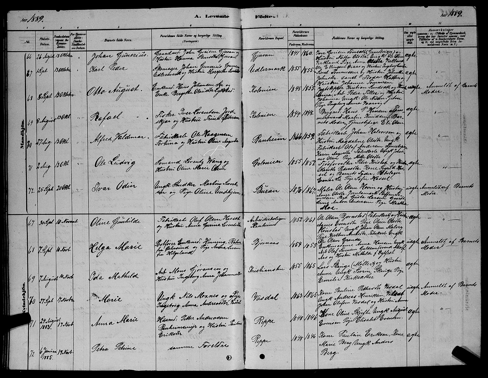 Ministerialprotokoller, klokkerbøker og fødselsregistre - Sør-Trøndelag, SAT/A-1456/606/L0312: Parish register (copy) no. 606C08, 1878-1894