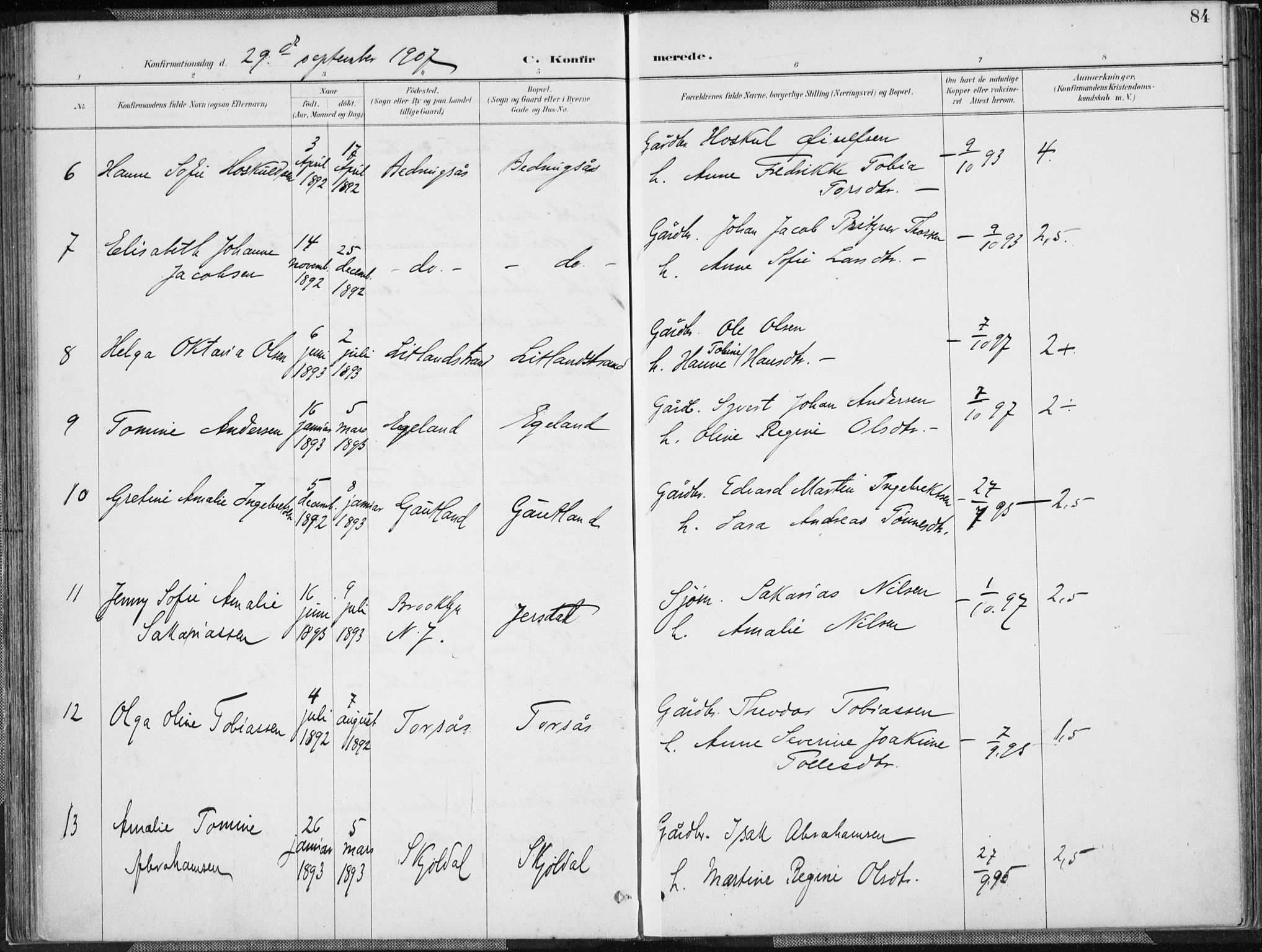 Herad sokneprestkontor, AV/SAK-1111-0018/F/Fa/Faa/L0006: Parish register (official) no. A 6, 1887-1907, p. 84