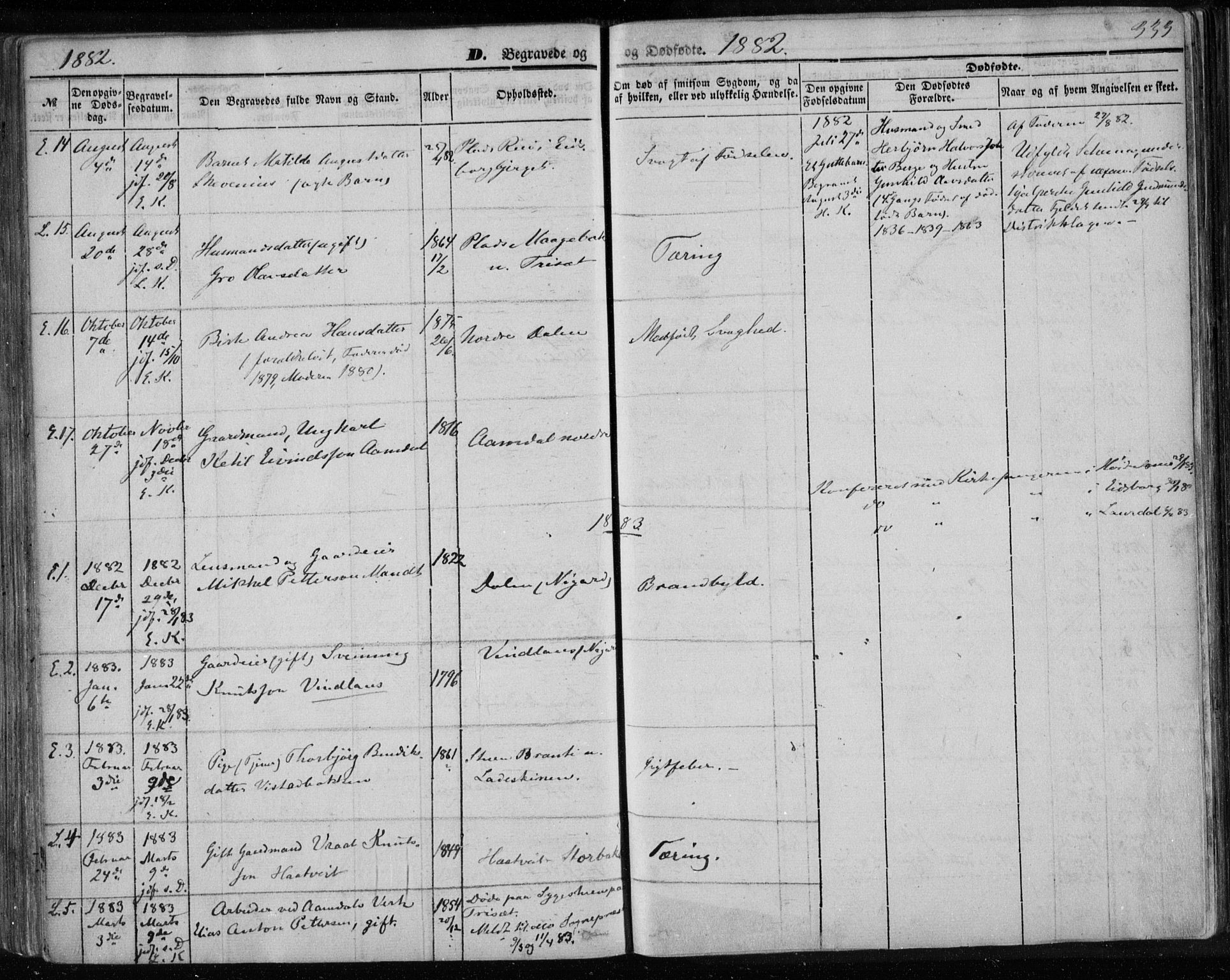 Lårdal kirkebøker, SAKO/A-284/F/Fa/L0006: Parish register (official) no. I 6, 1861-1886, p. 333