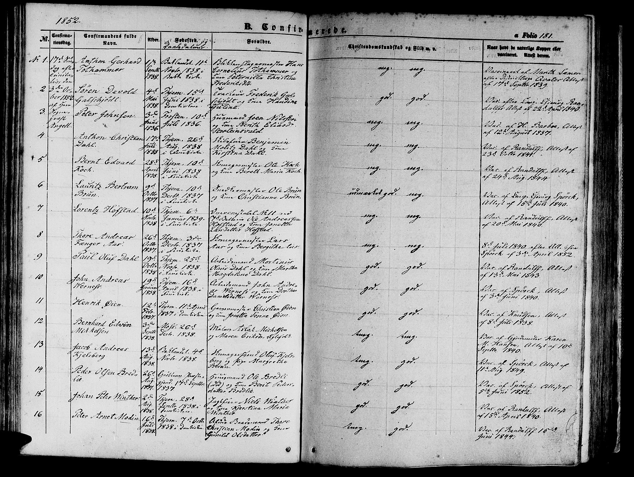 Ministerialprotokoller, klokkerbøker og fødselsregistre - Sør-Trøndelag, AV/SAT-A-1456/602/L0137: Parish register (copy) no. 602C05, 1846-1856, p. 181