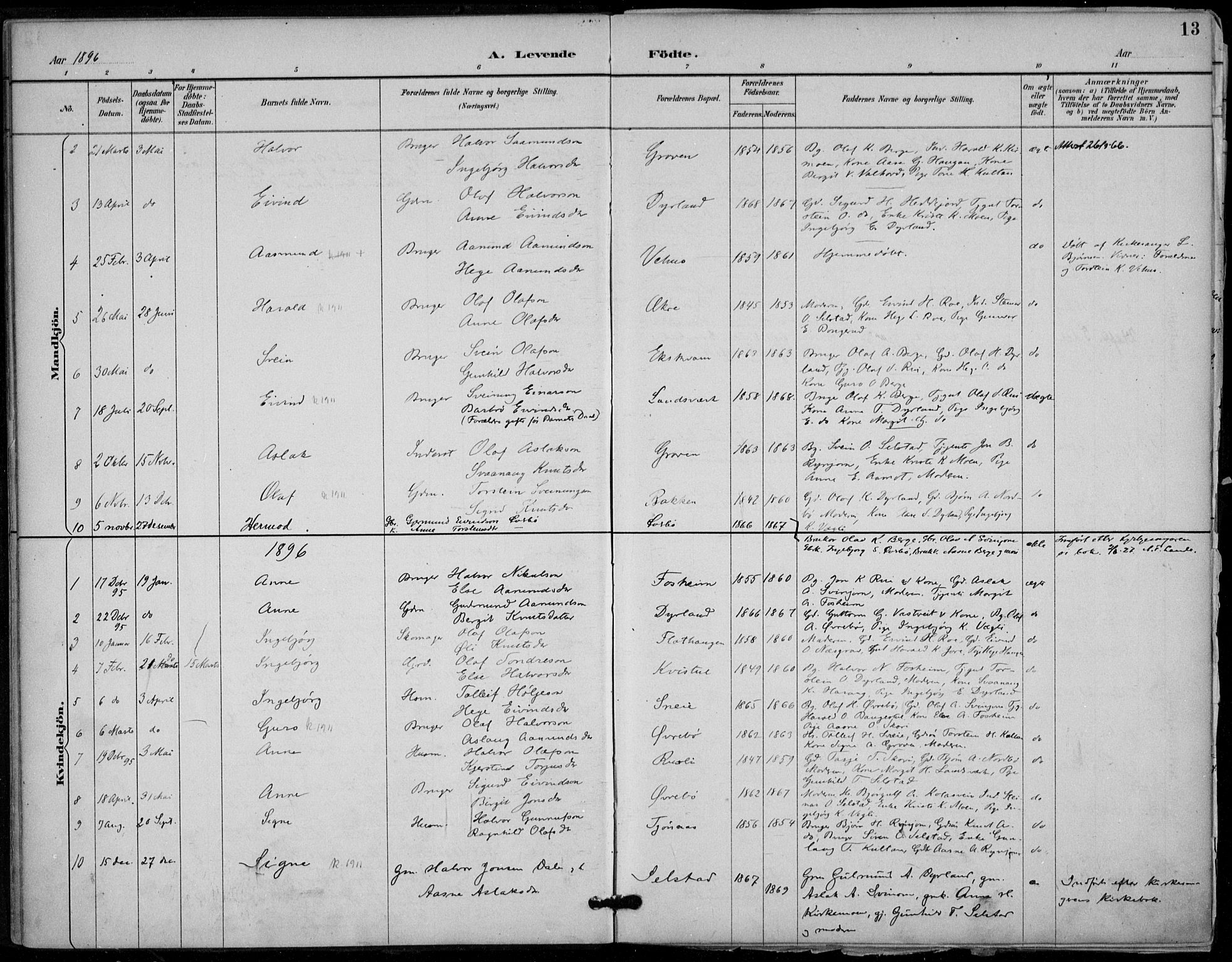 Seljord kirkebøker, SAKO/A-20/F/Fc/L0002: Parish register (official) no. III 2, 1887-1920, p. 13