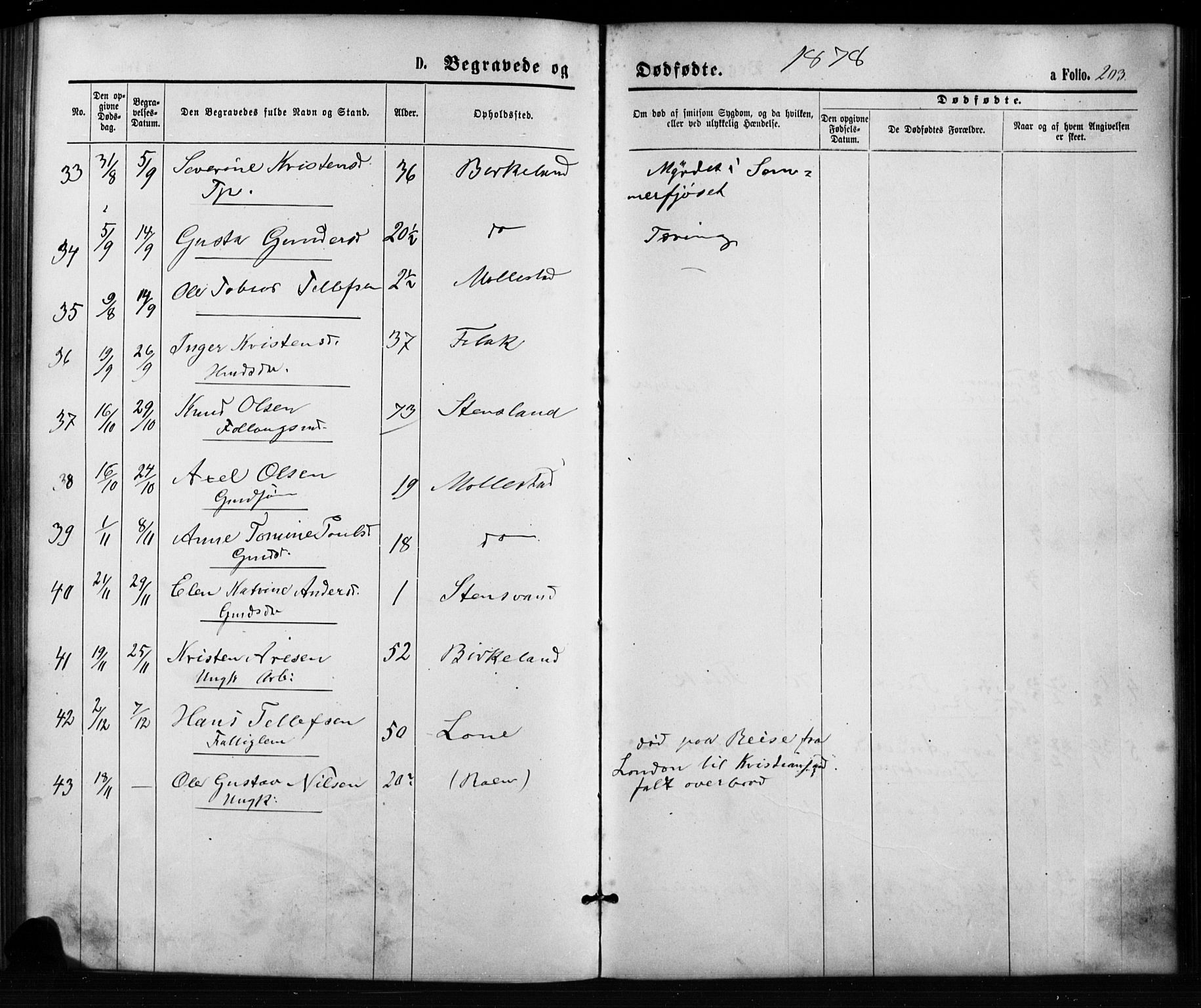 Birkenes sokneprestkontor, SAK/1111-0004/F/Fb/L0003: Parish register (copy) no. B 3, 1876-1892, p. 203