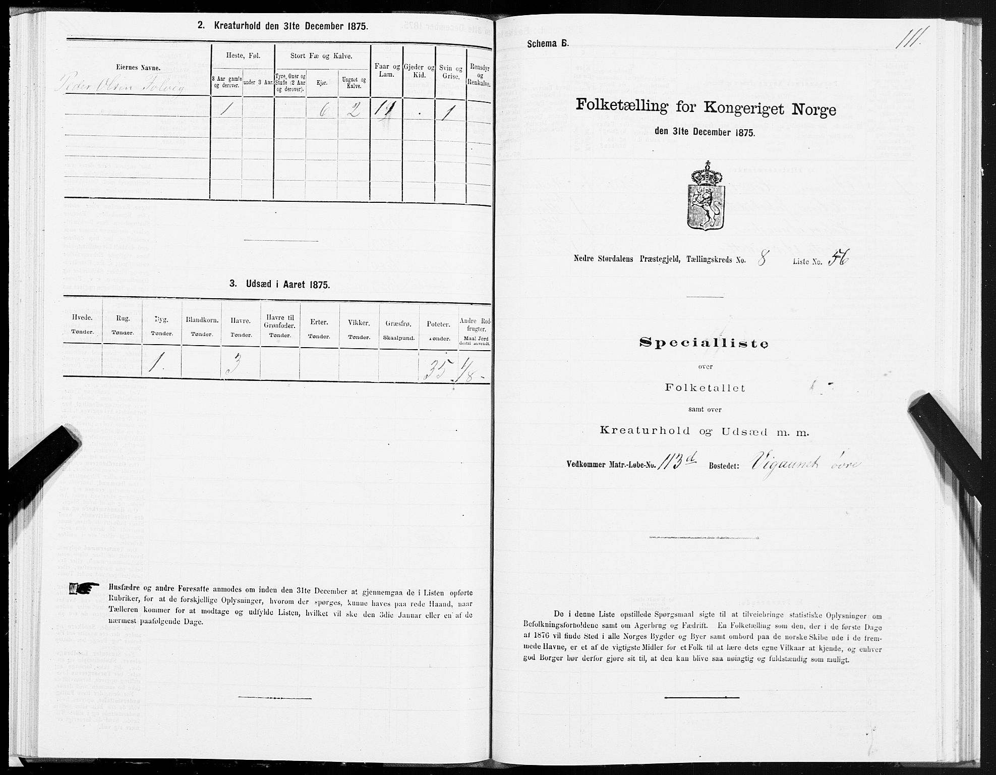 SAT, 1875 census for 1714P Nedre Stjørdal, 1875, p. 4111