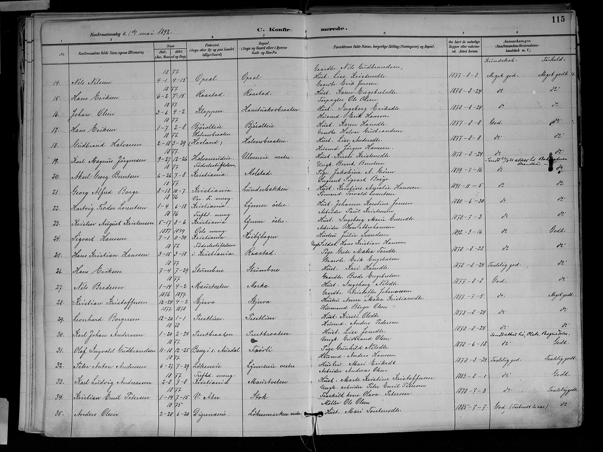 Jevnaker prestekontor, SAH/PREST-116/H/Ha/Haa/L0010: Parish register (official) no. 10, 1891-1906, p. 115