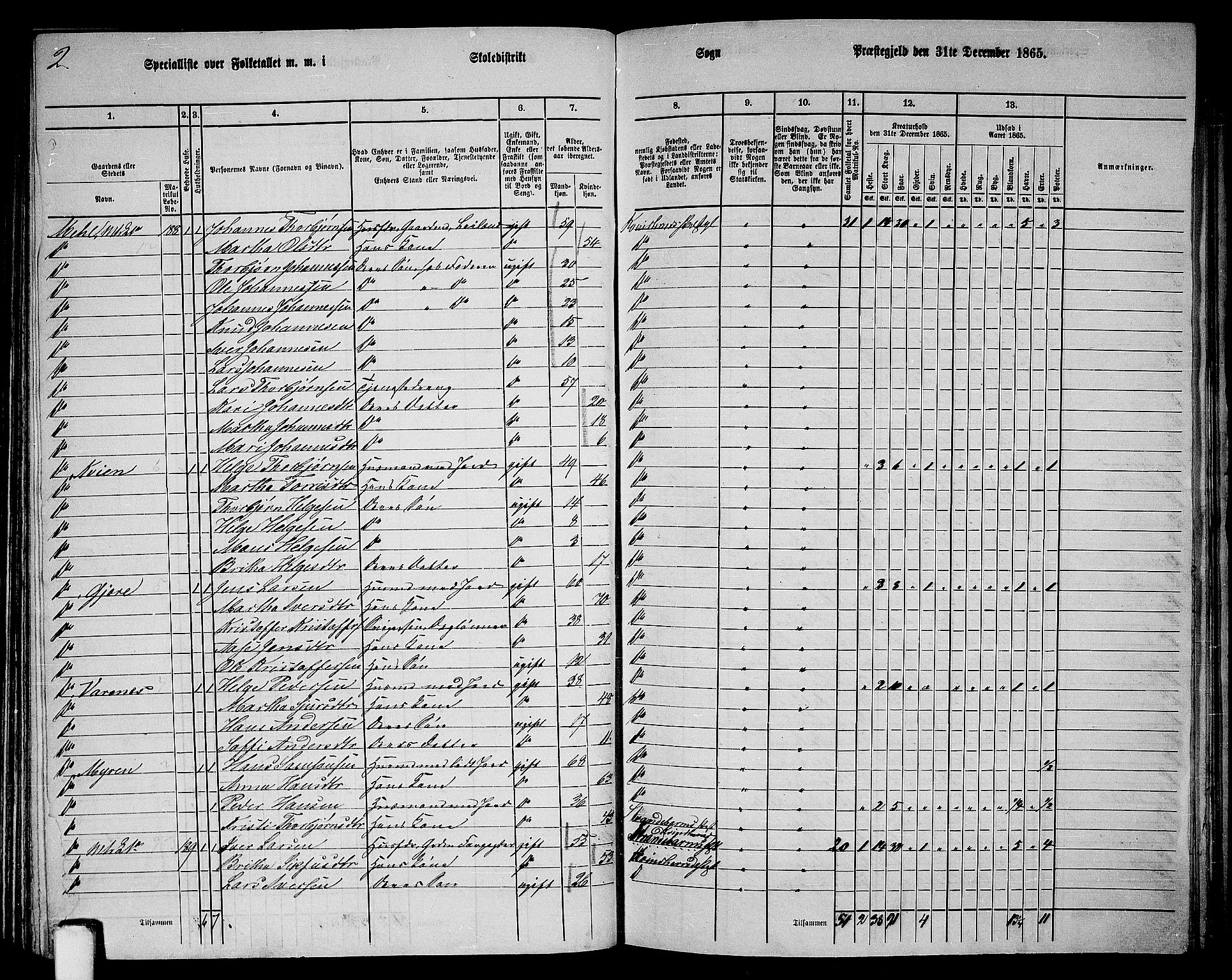 RA, 1865 census for Kvinnherad, 1865, p. 100