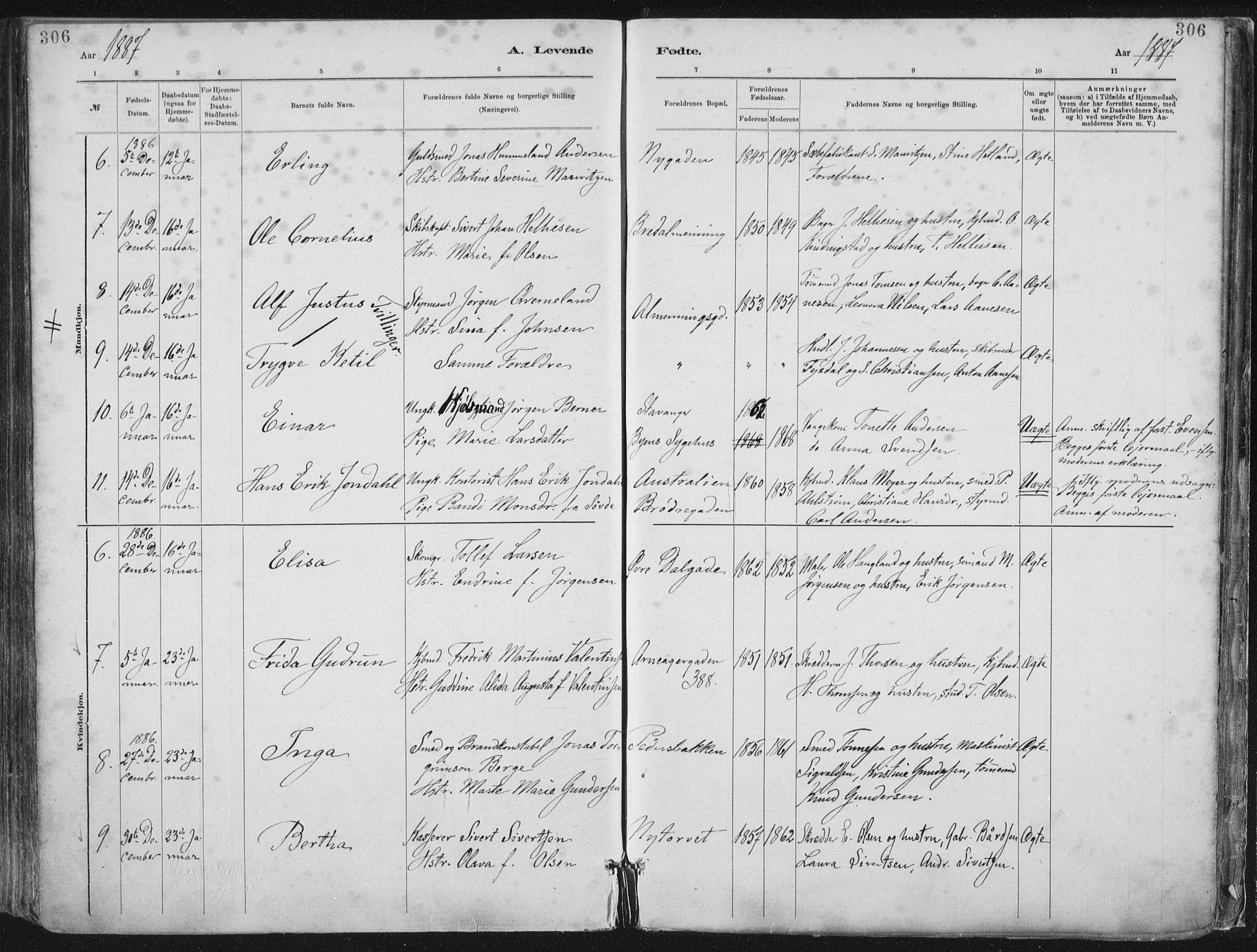 St. Petri sokneprestkontor, AV/SAST-A-101813/001/30/30BA/L0015: Parish register (official) no. A 15, 1879-1888, p. 306