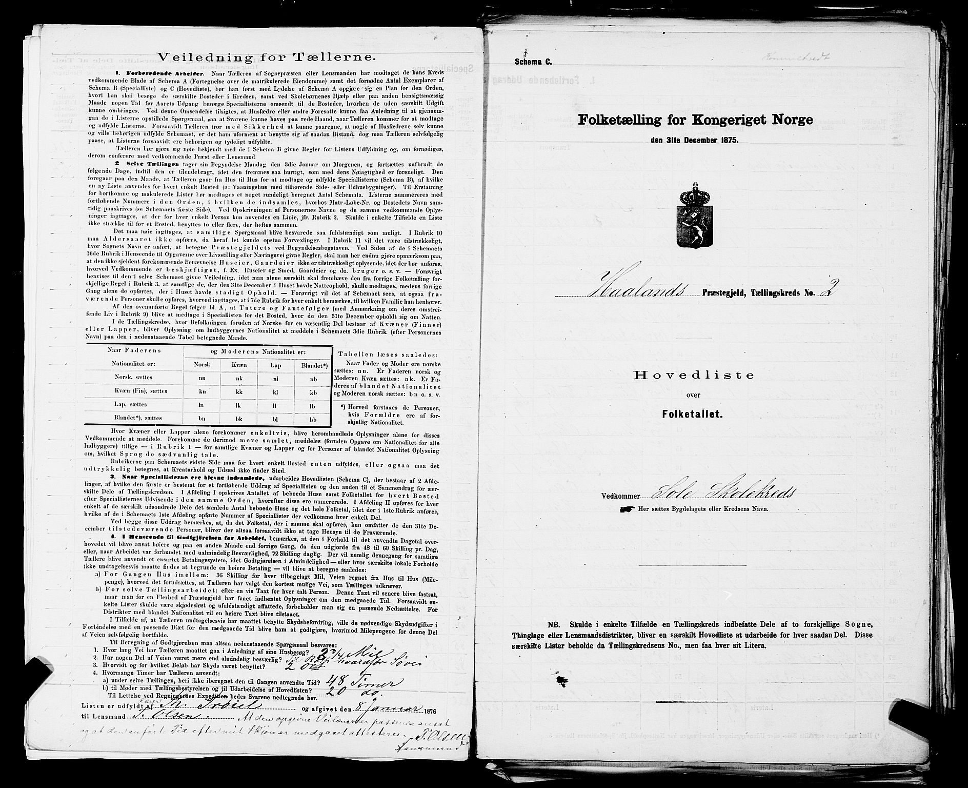 SAST, 1875 census for 1124P Håland, 1875, p. 13