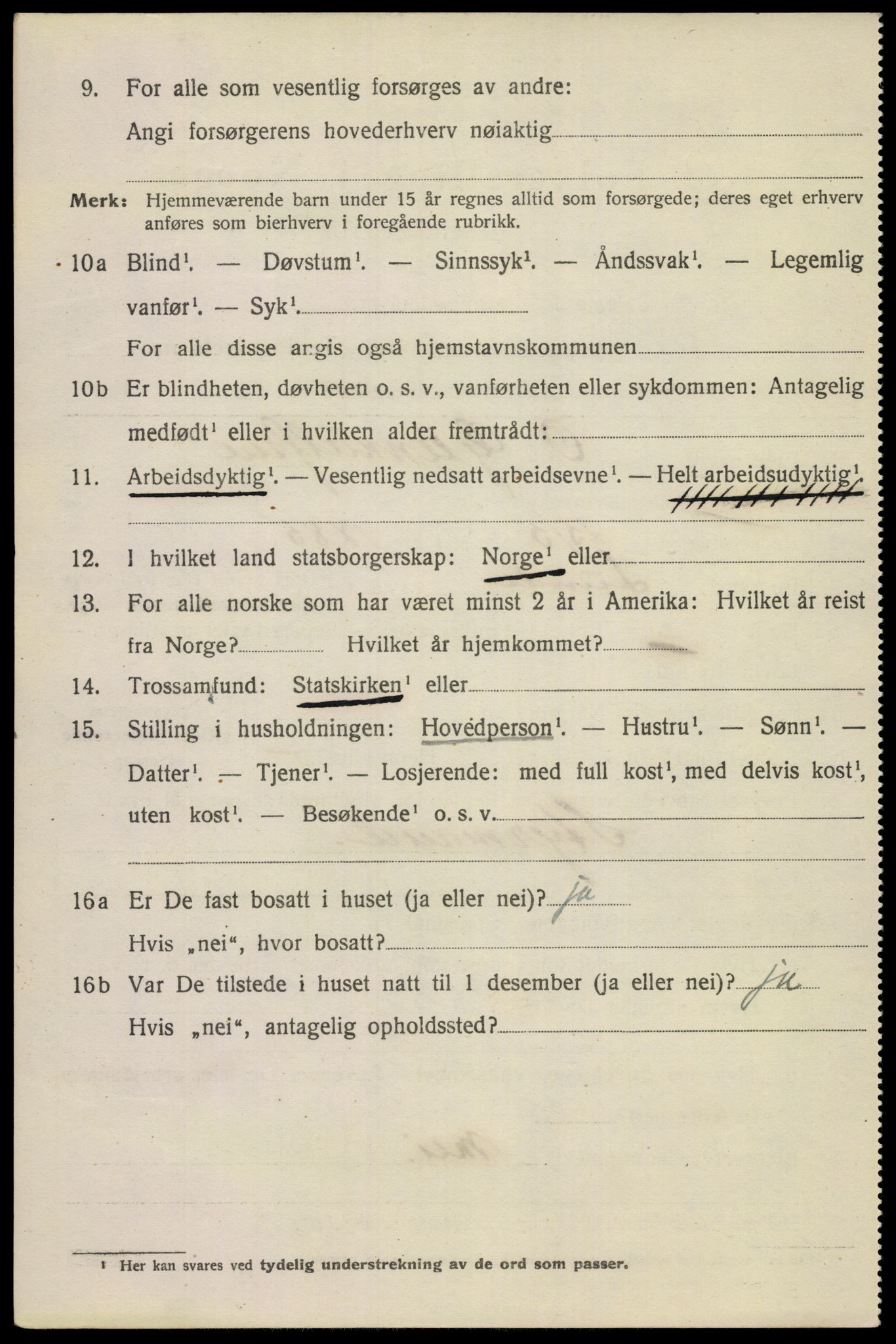 SAKO, 1920 census for Porsgrunn, 1920, p. 19874