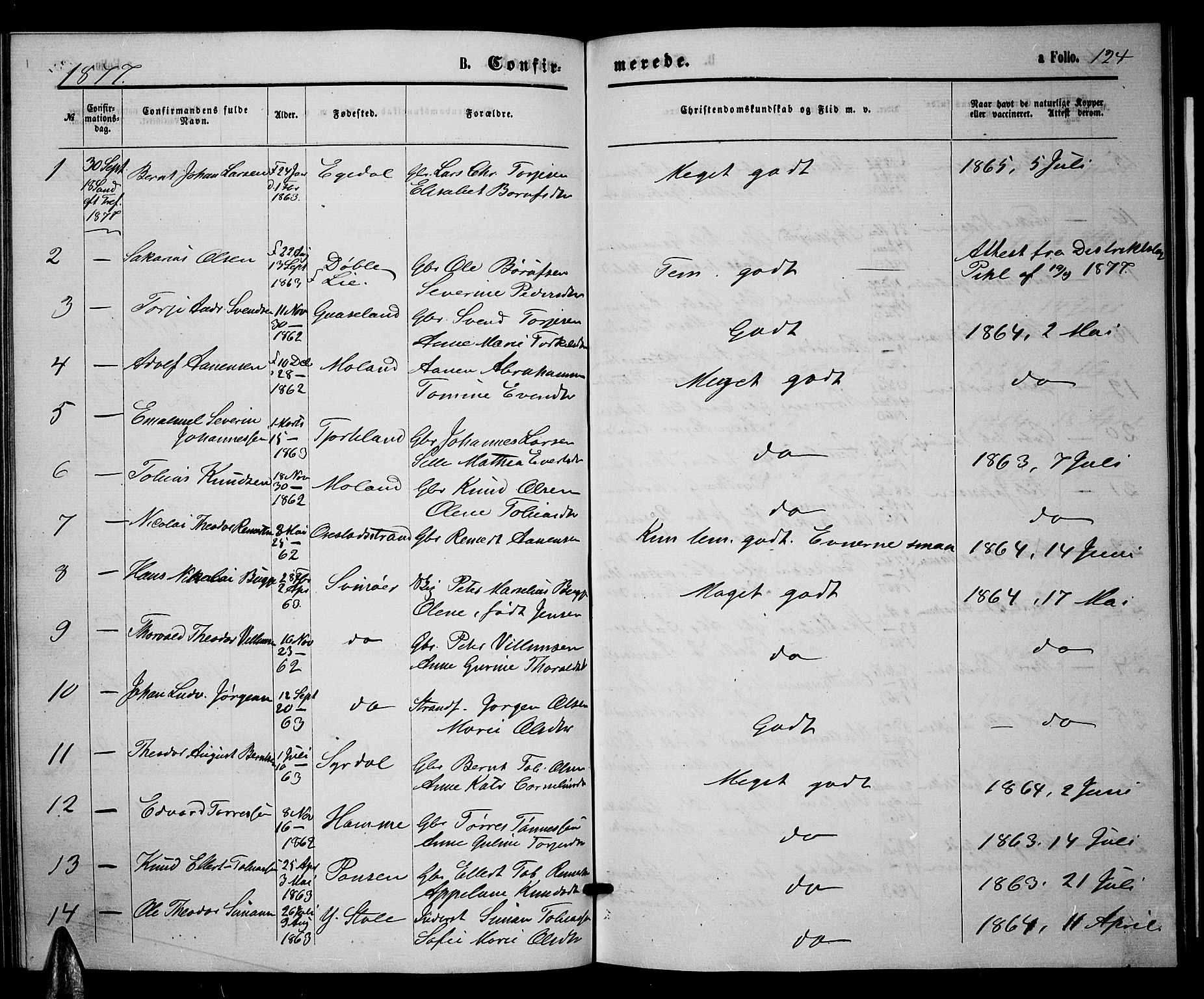 Sør-Audnedal sokneprestkontor, AV/SAK-1111-0039/F/Fb/Fbb/L0004: Parish register (copy) no. B 4, 1868-1879, p. 124