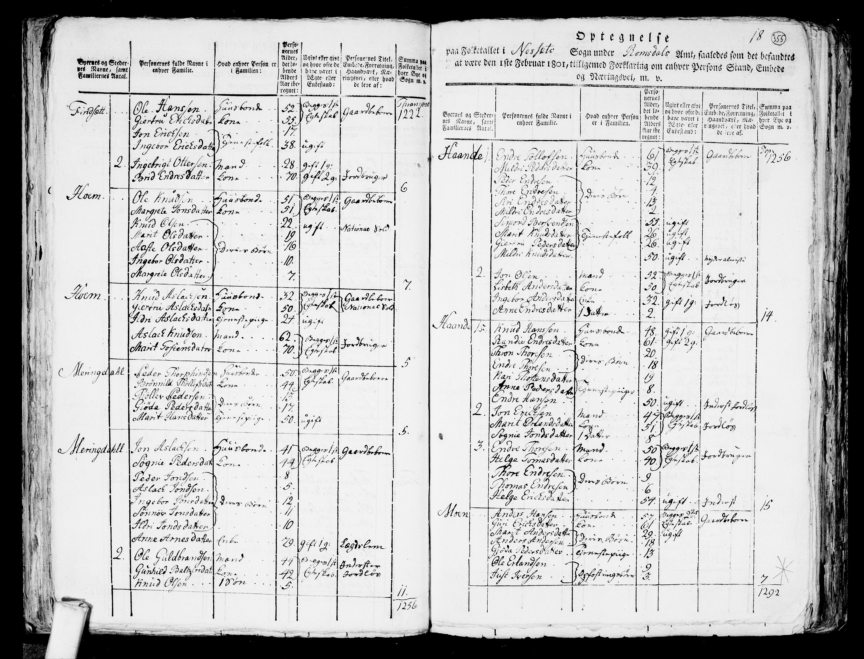 RA, 1801 census for 1543P Nesset, 1801, p. 354b-355a