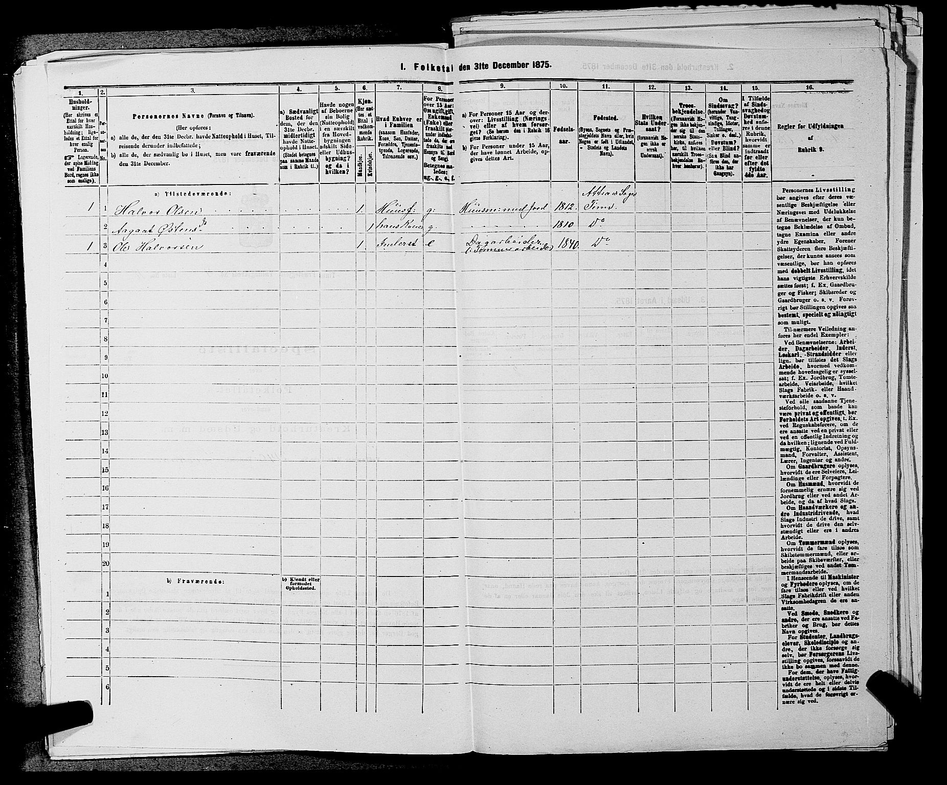 SAKO, 1875 census for 0826P Tinn, 1875, p. 491