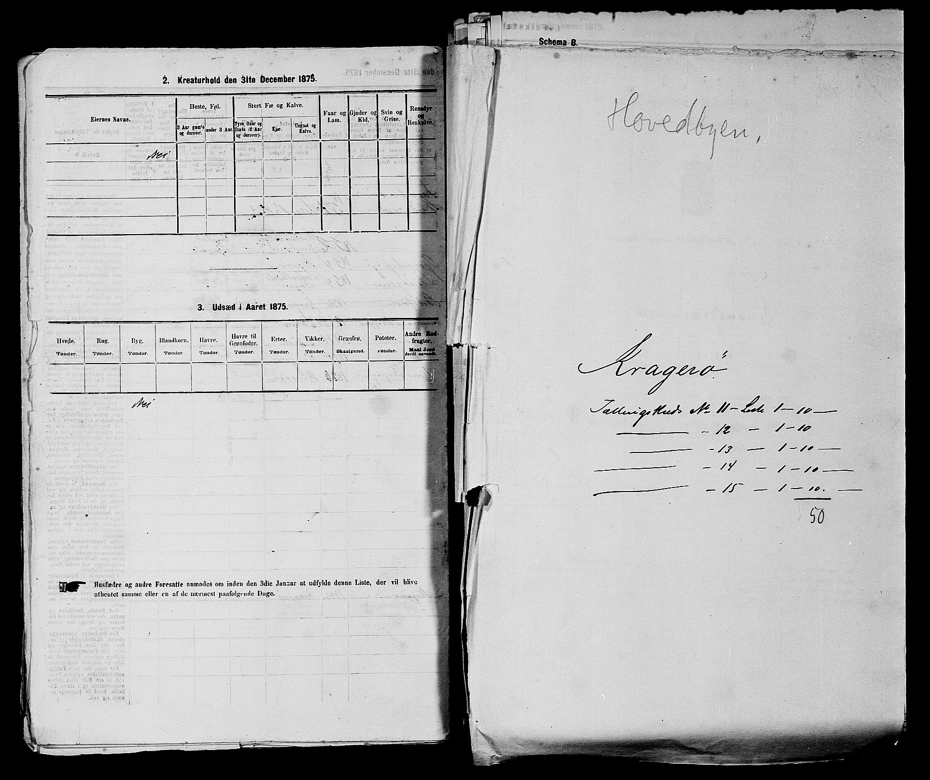 SAKO, 1875 census for 0801P Kragerø, 1875, p. 234