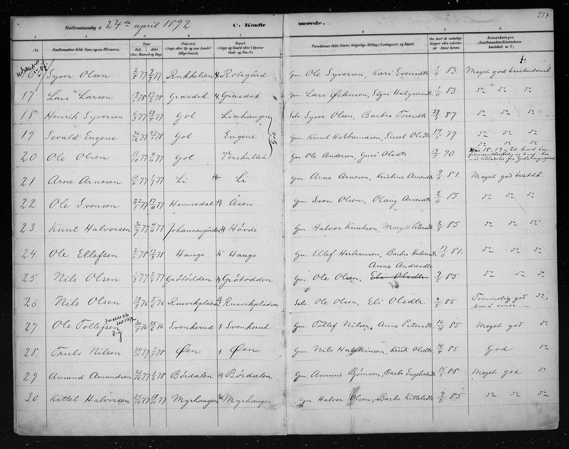 Nes kirkebøker, AV/SAKO-A-236/F/Fa/L0011: Parish register (official) no. 11, 1881-1912, p. 217