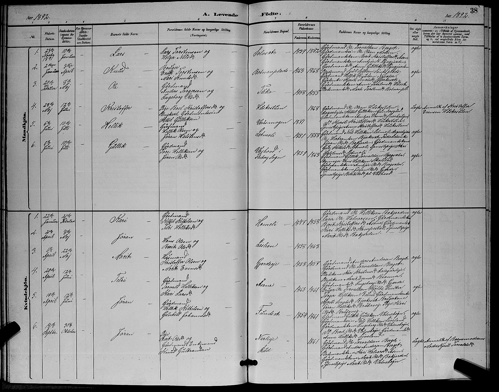 Flesberg kirkebøker, SAKO/A-18/G/Ga/L0004: Parish register (copy) no. I 4 /3, 1890-1898, p. 38