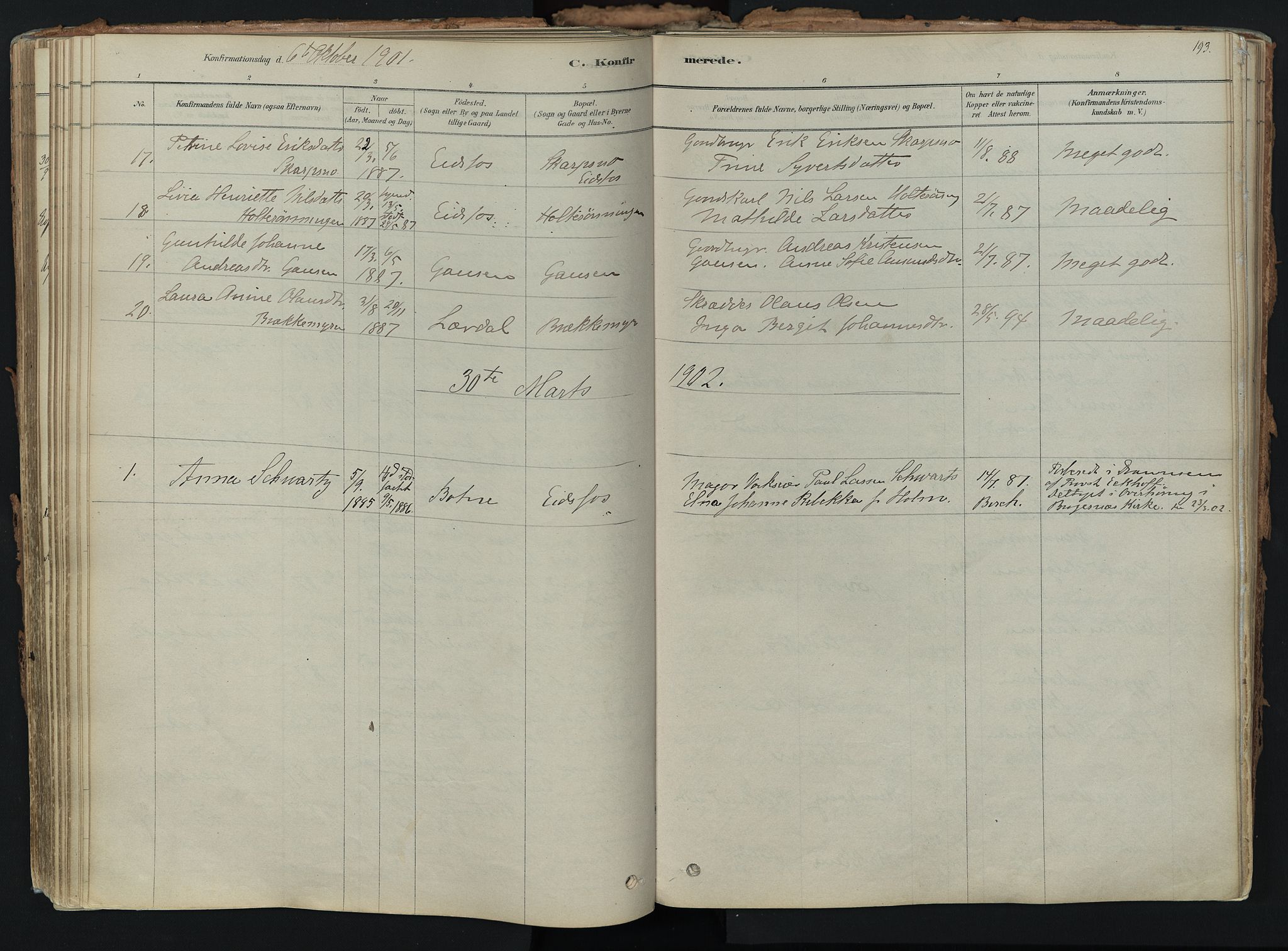 Hof kirkebøker, AV/SAKO-A-64/F/Fa/L0007: Parish register (official) no. I 7, 1878-1940, p. 193